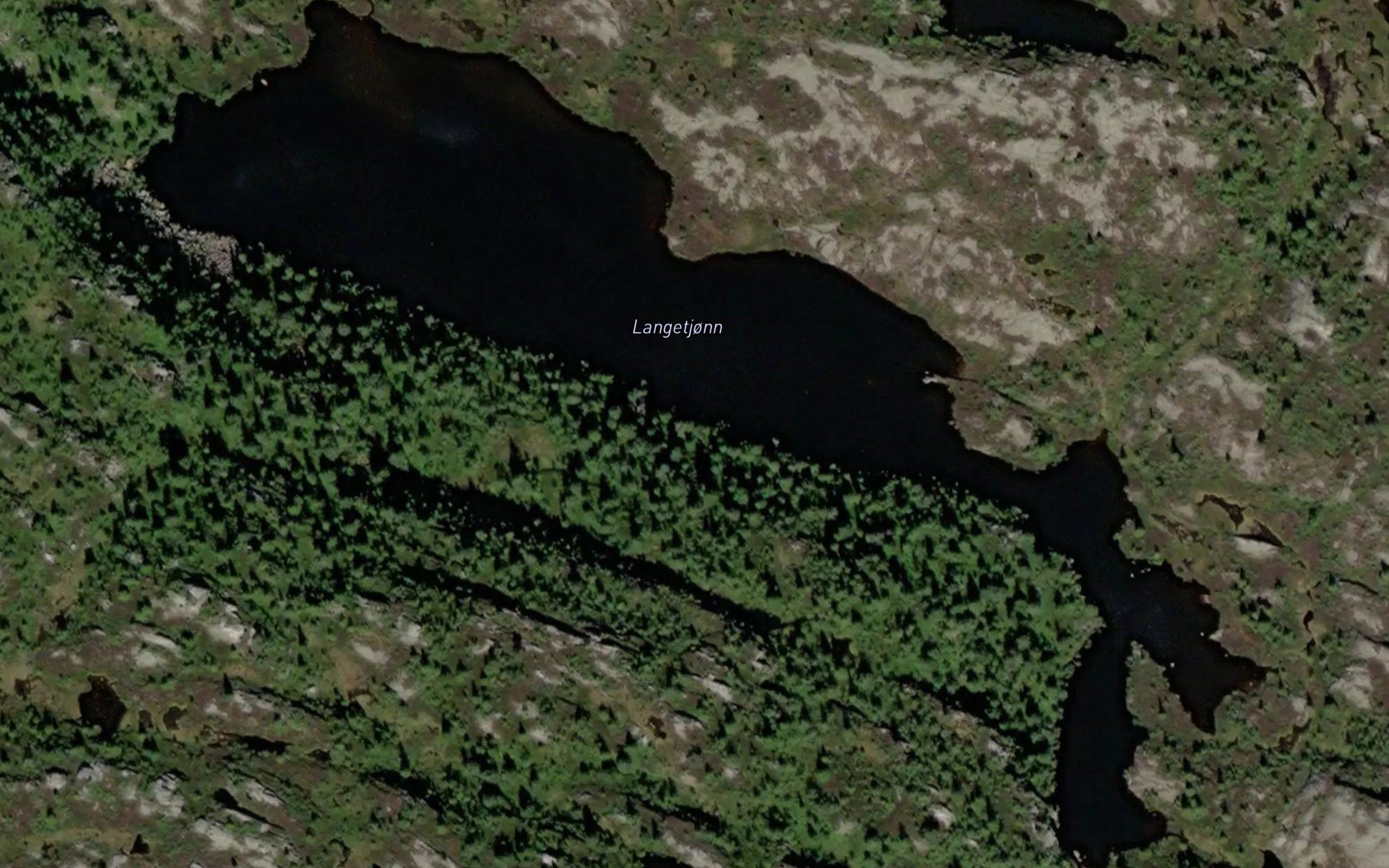 Langtjorn