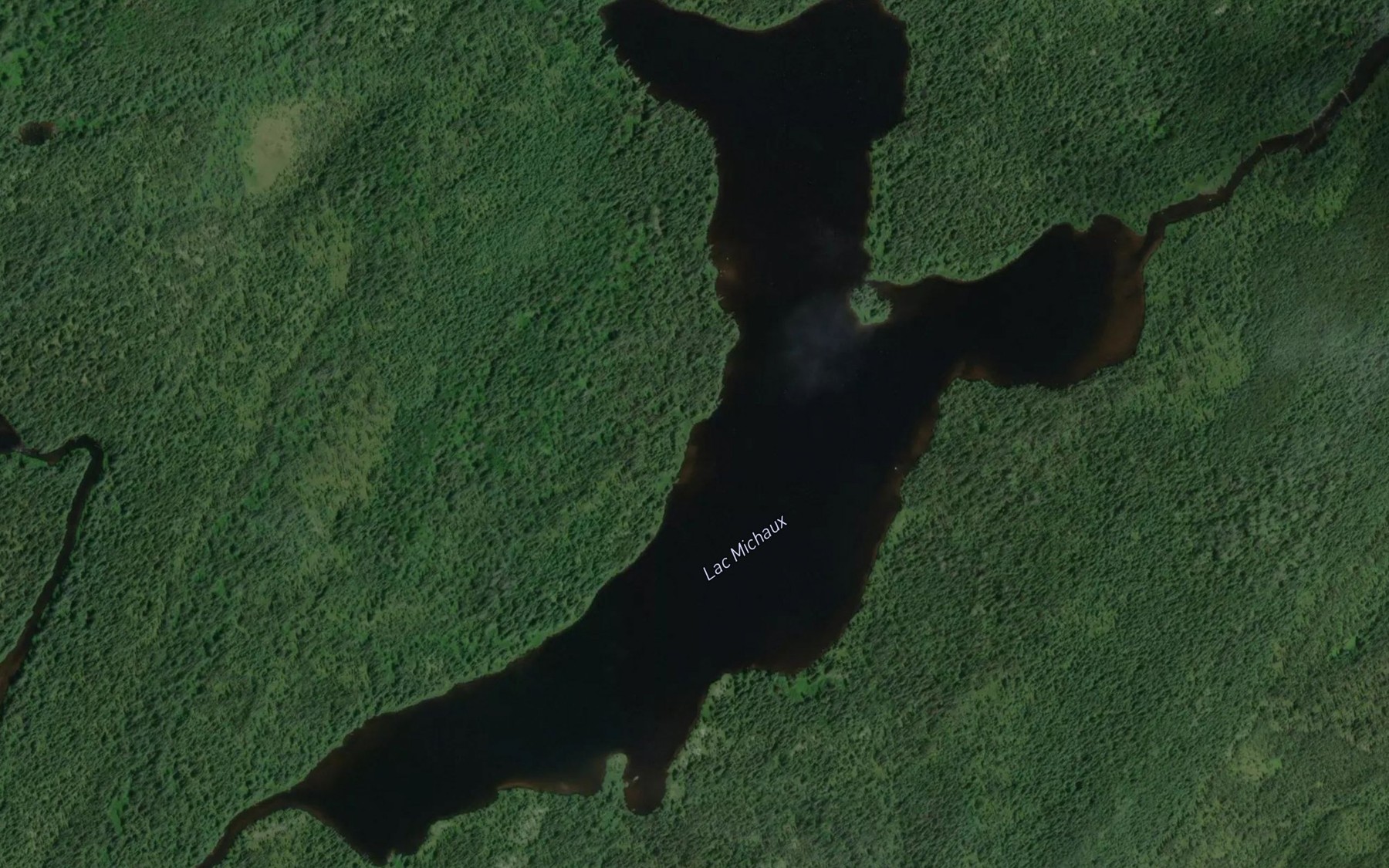 Satellite map of the Lac Michaux