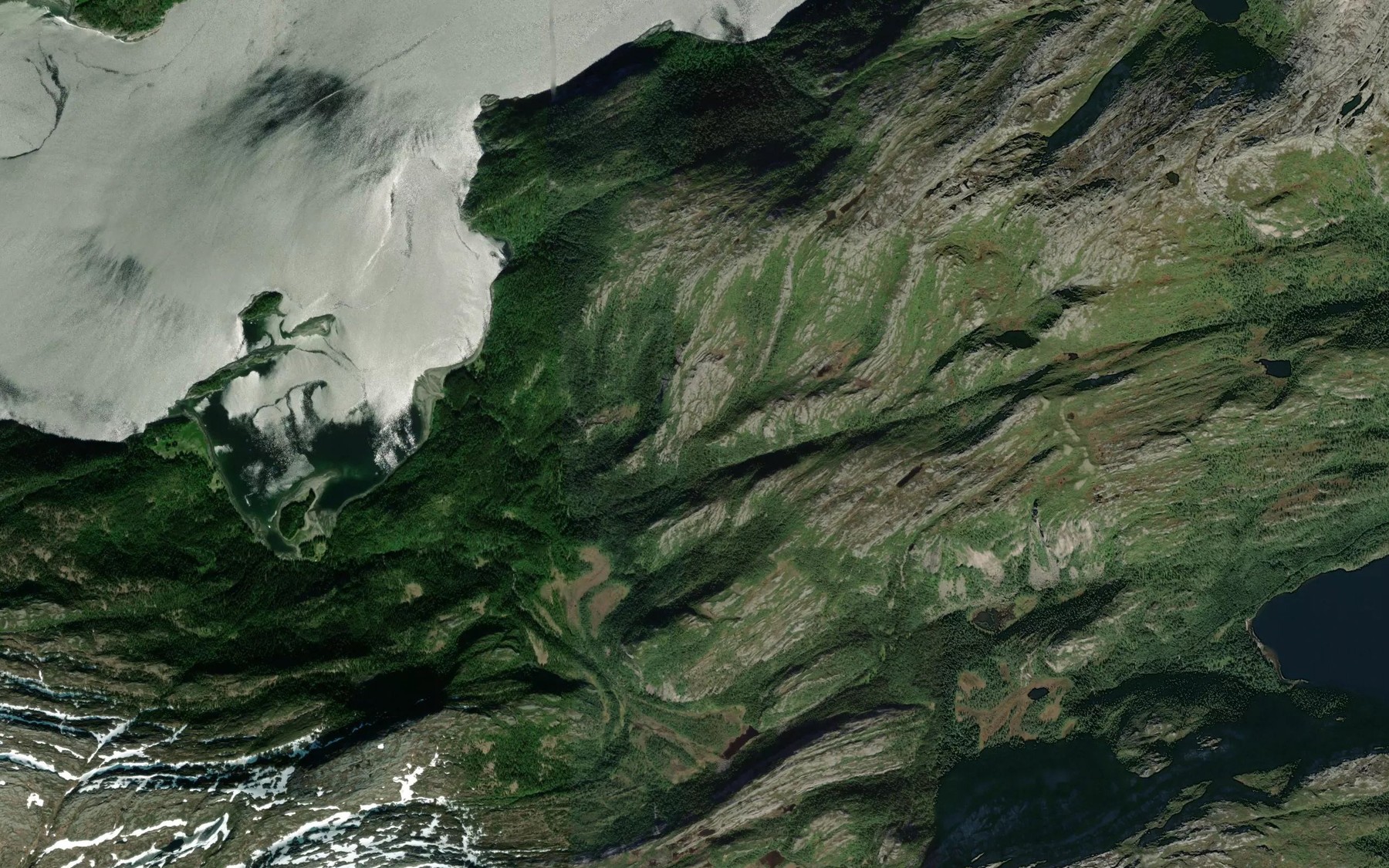 Satellite map of the Gronnlibekken