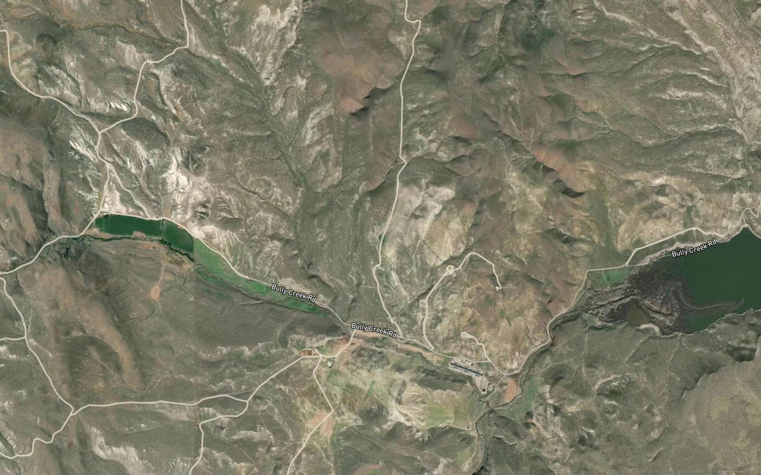 Coyote Spring
