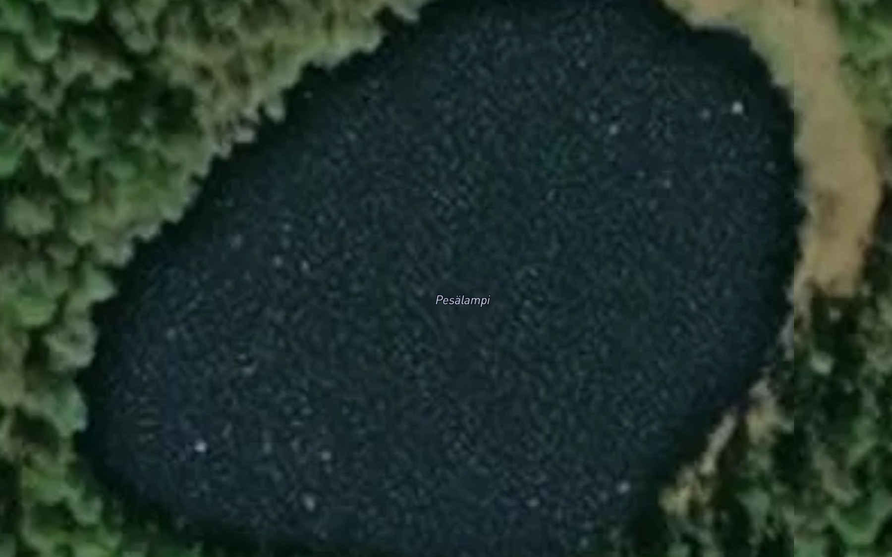 Satellite map of the Pesalampi