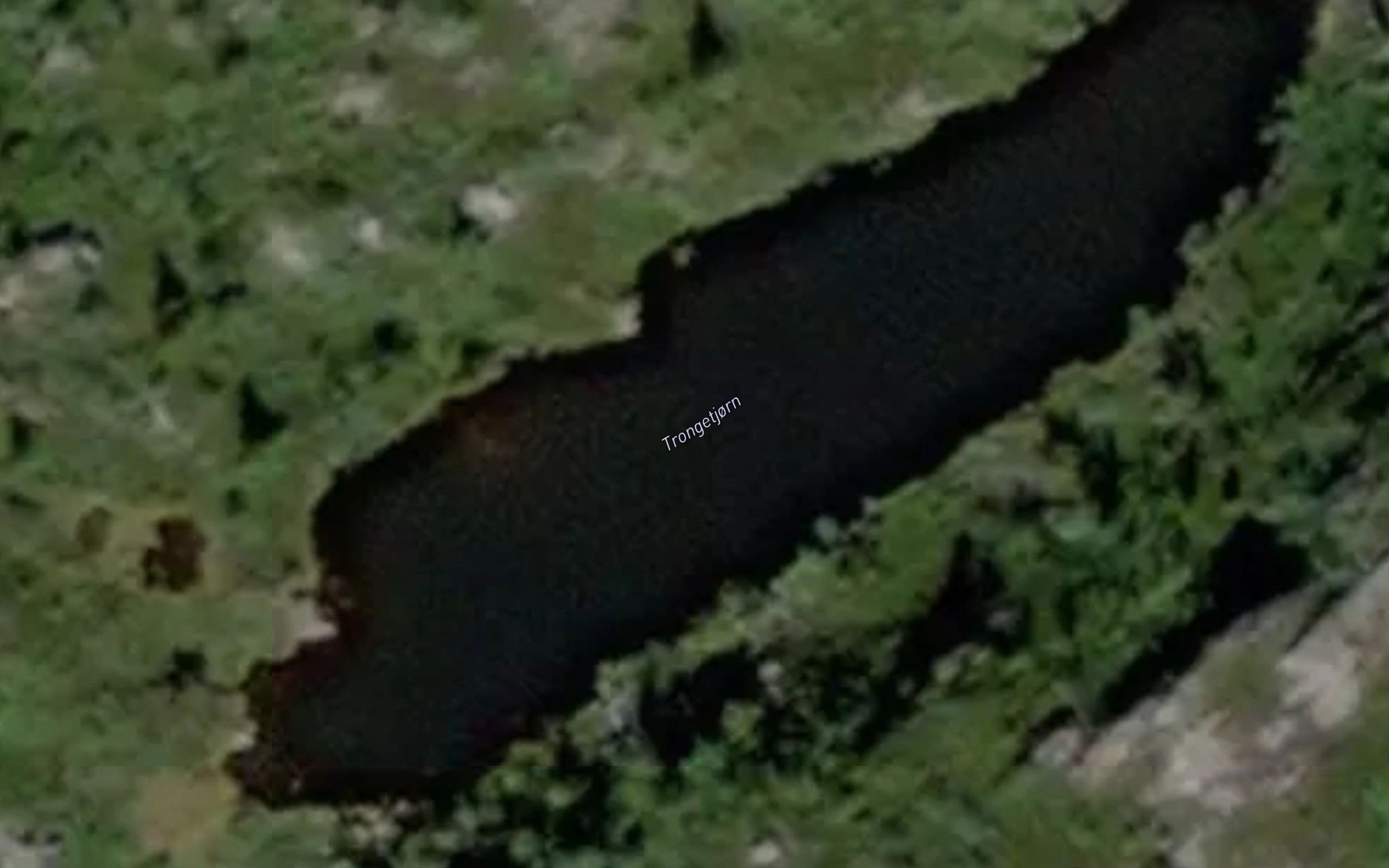 Trongetjorn