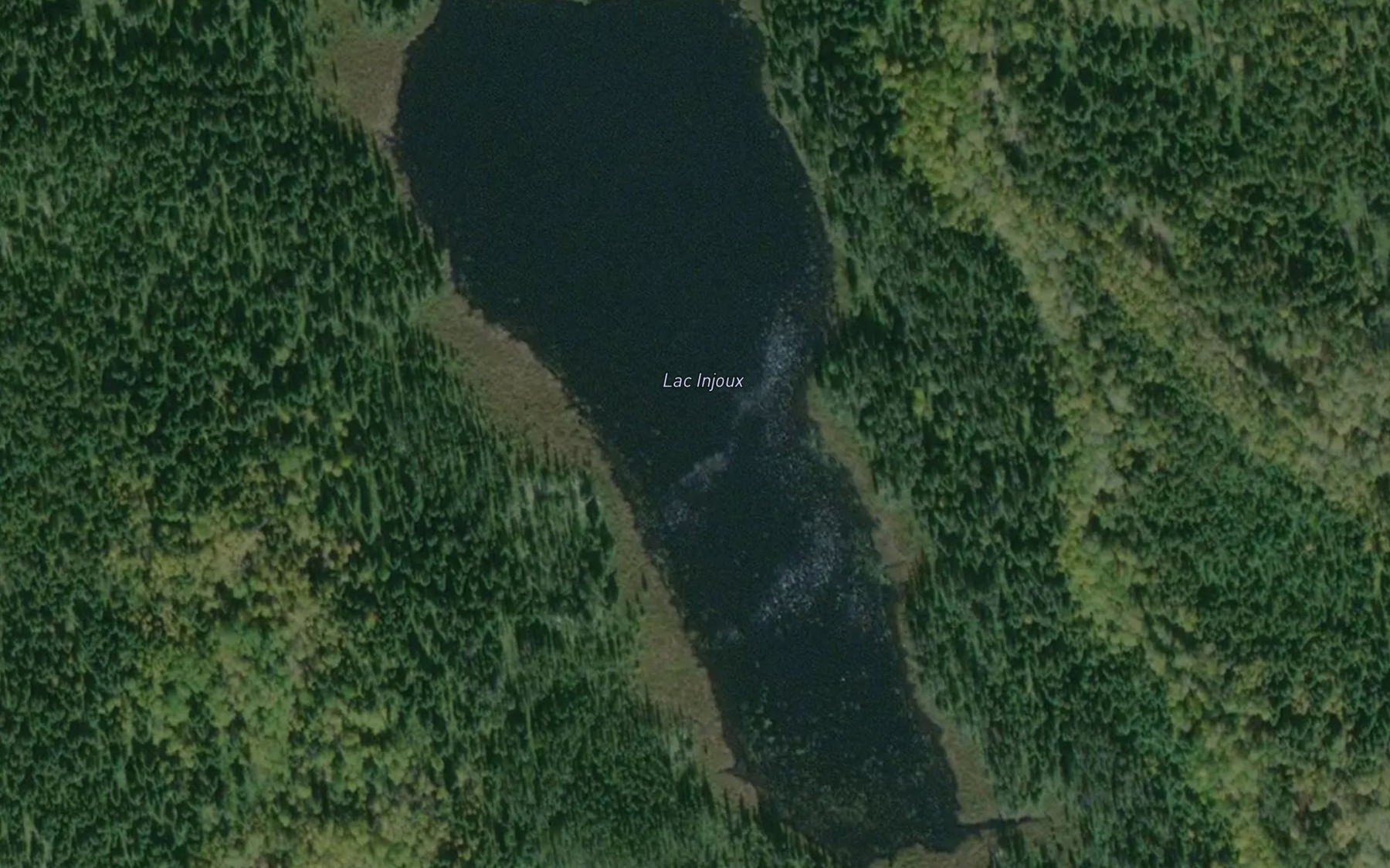 Satellite map of the Lac Injoux