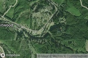 Whitney Creek