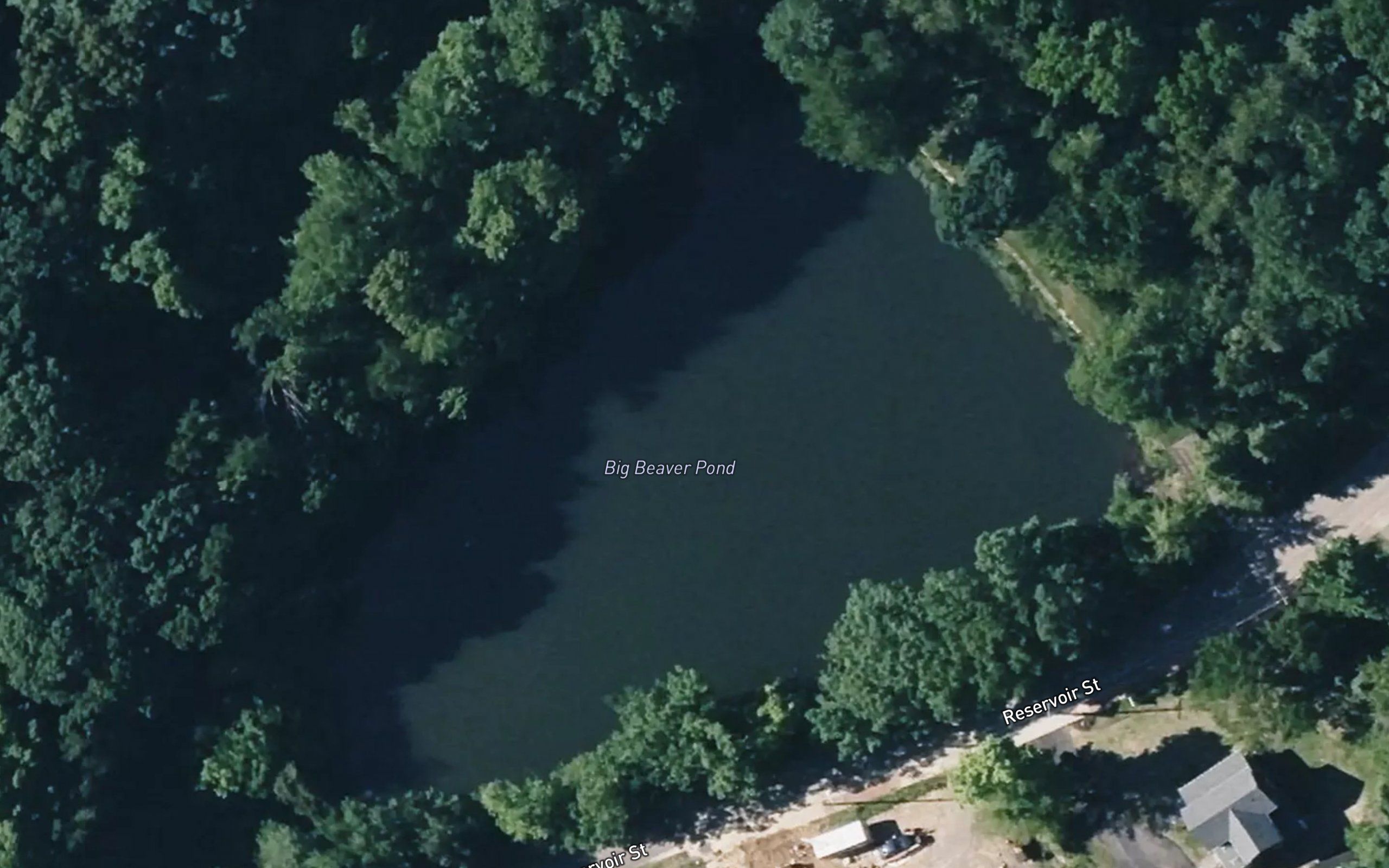 Big Beaver Pond