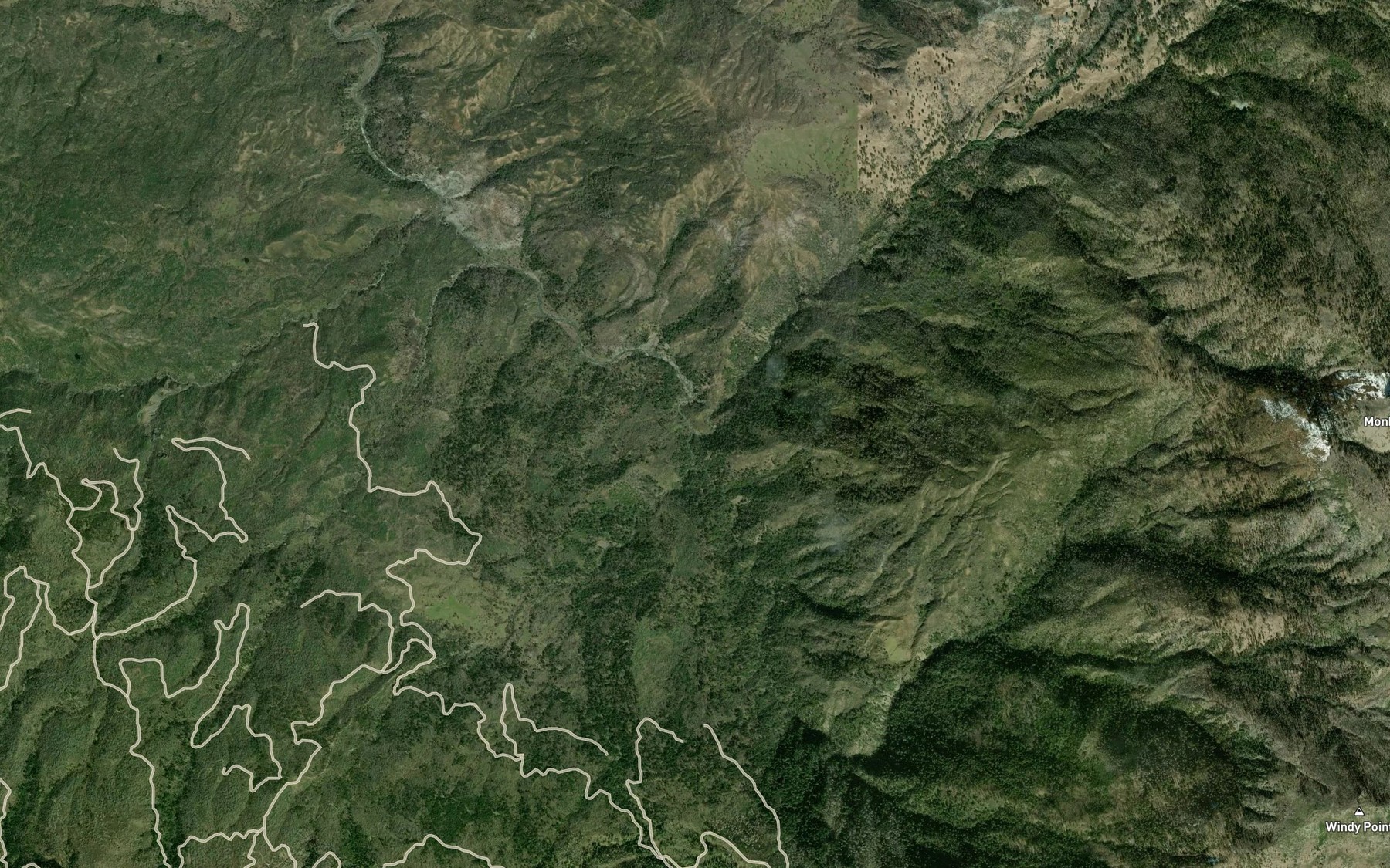 Satellite map of the Mendenhall Creek
