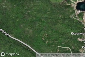 Trout Brook