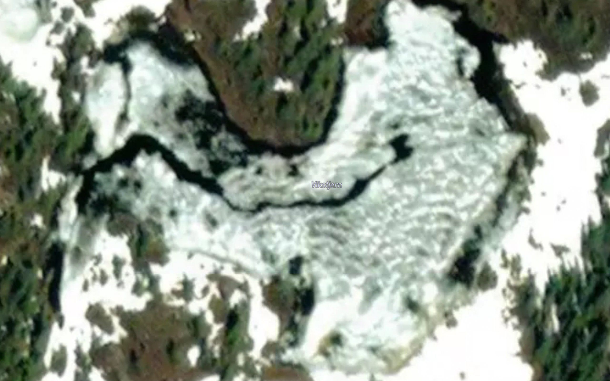 Vikstjernet