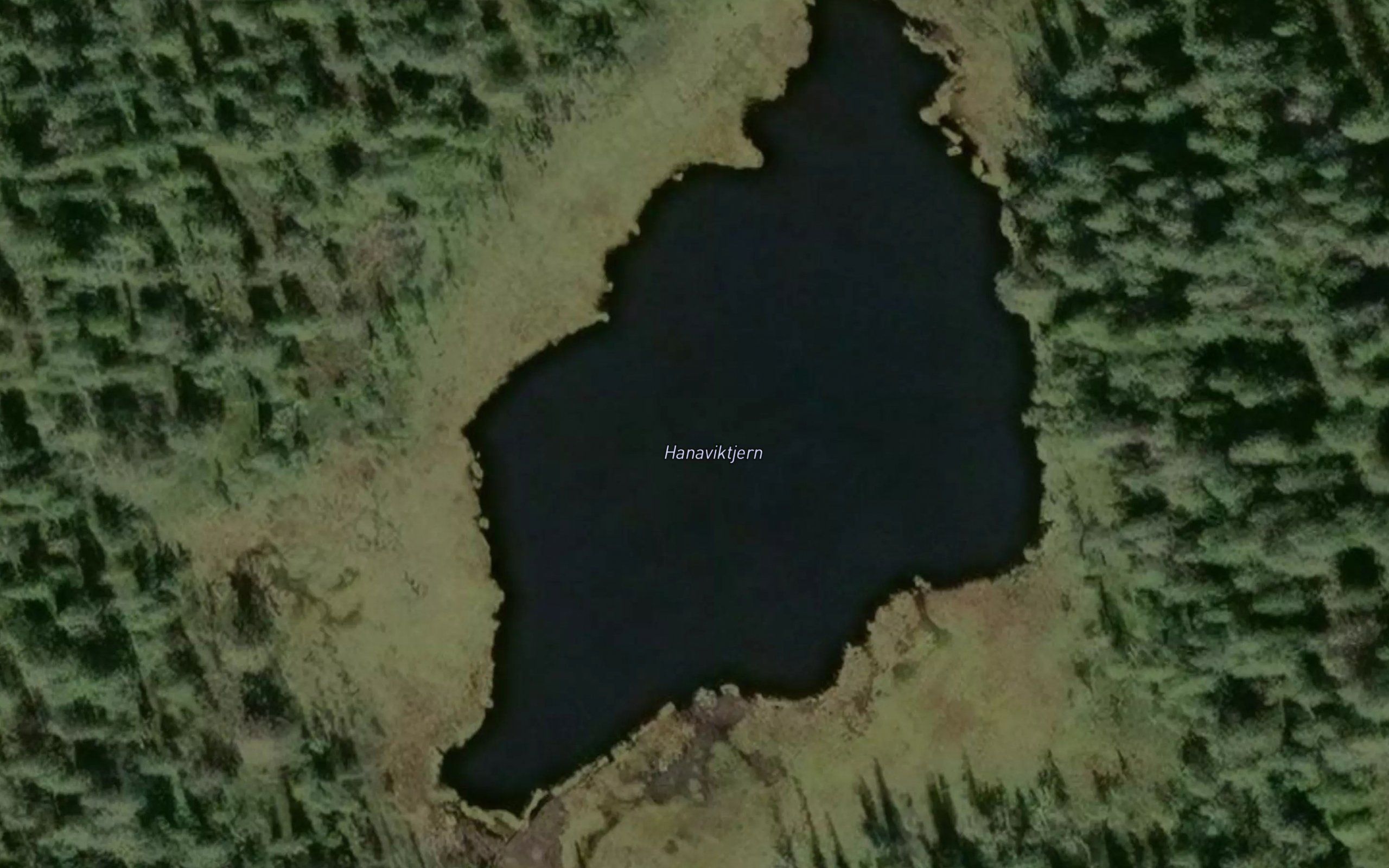 Hanaviktjern