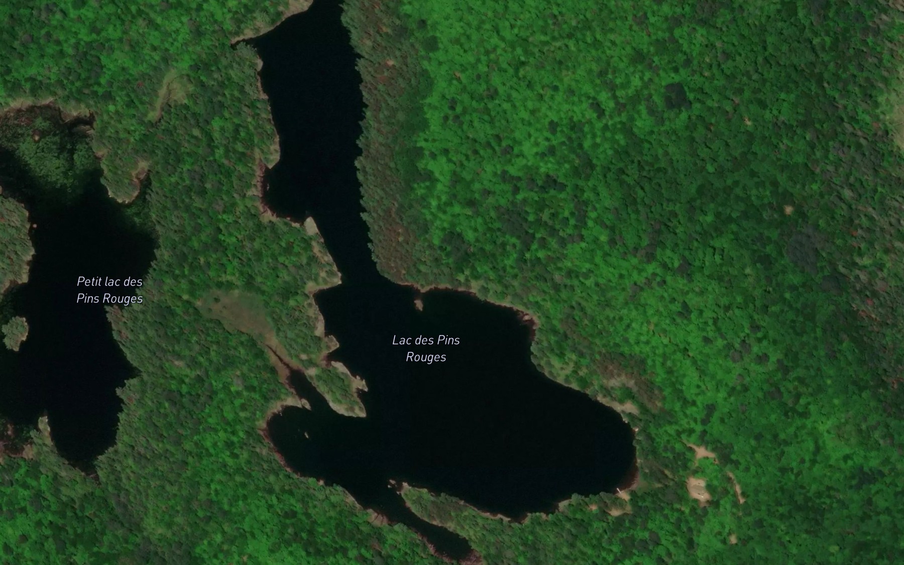 Satellite map of the Lac des Pins Rouges