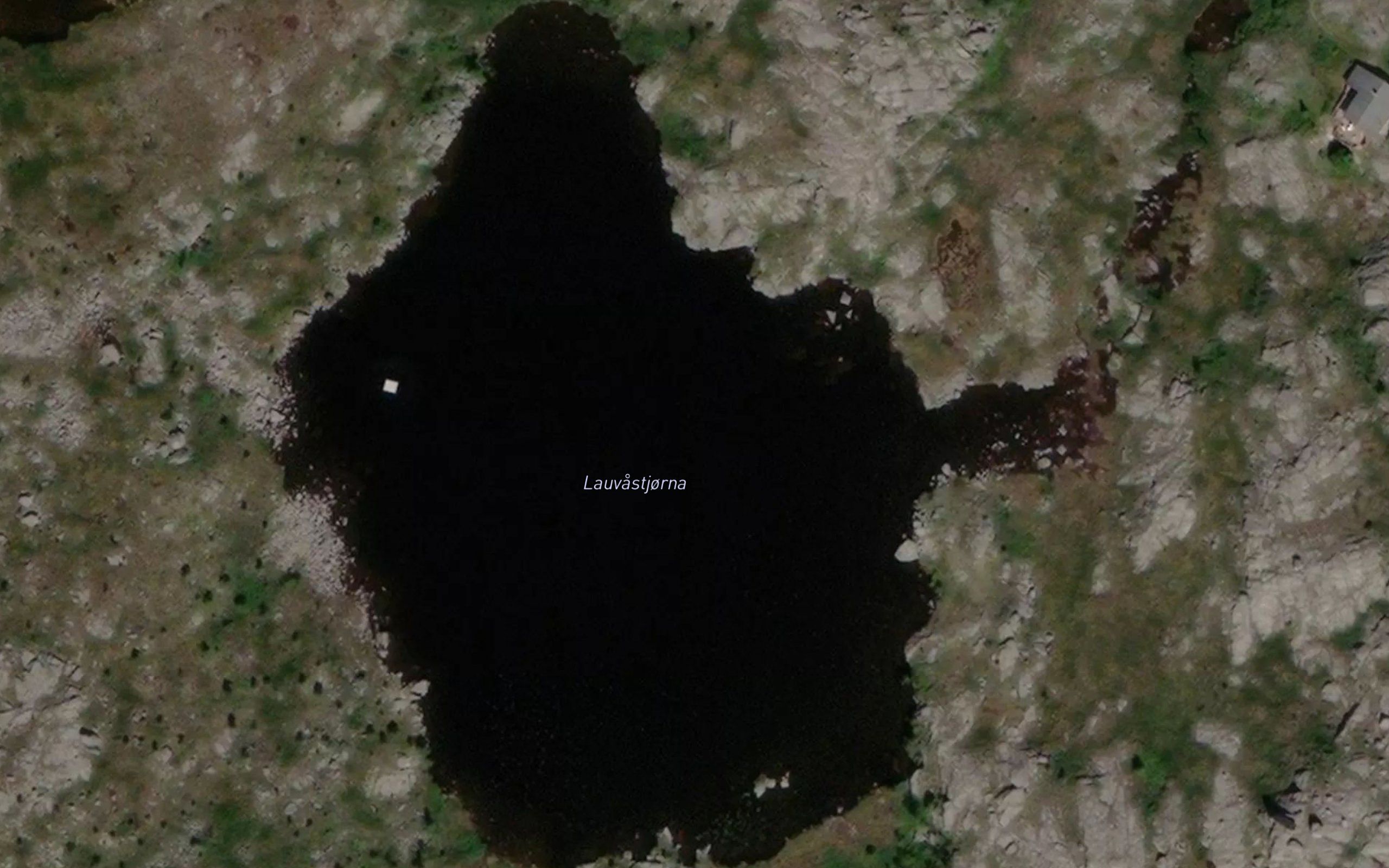Lauvastjorna