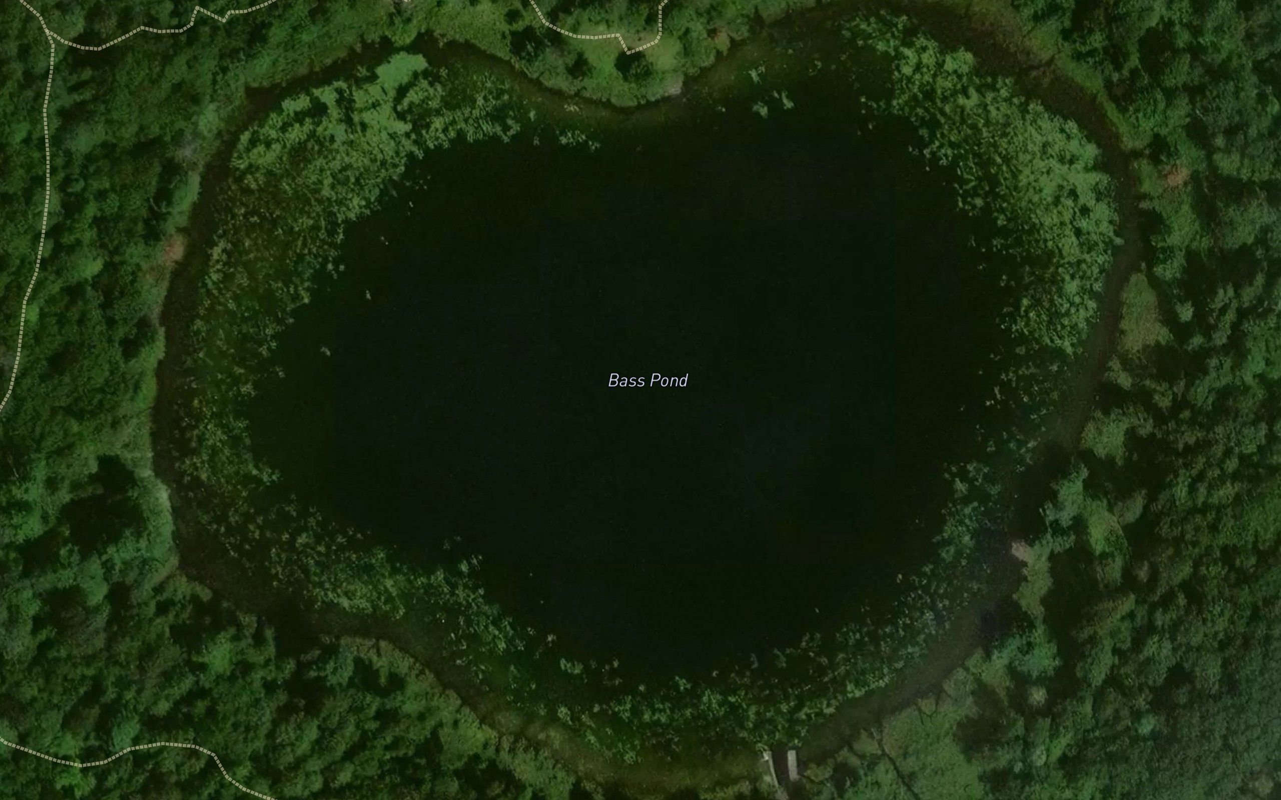 Bass Pond