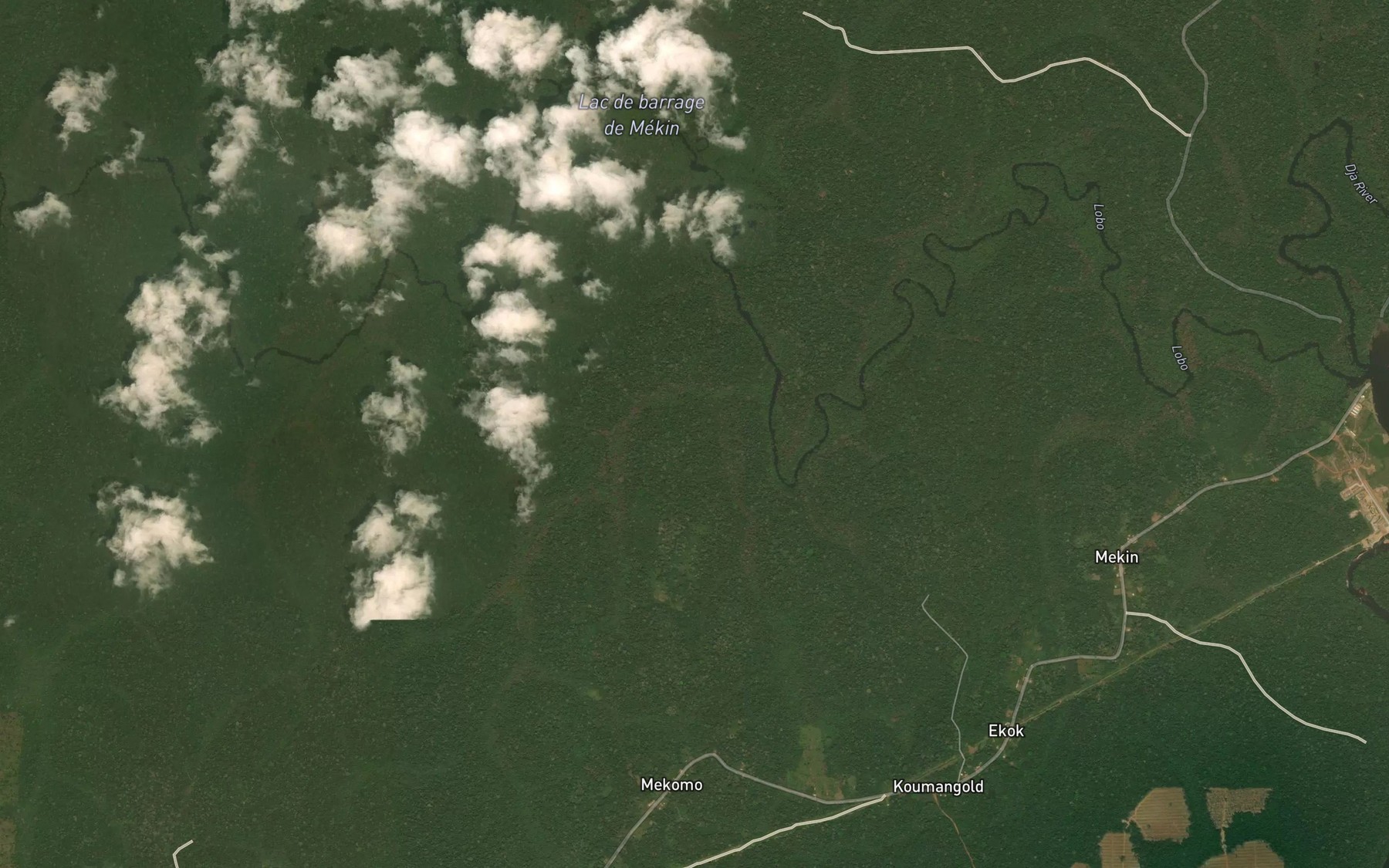 Satellite map of the Njolo
