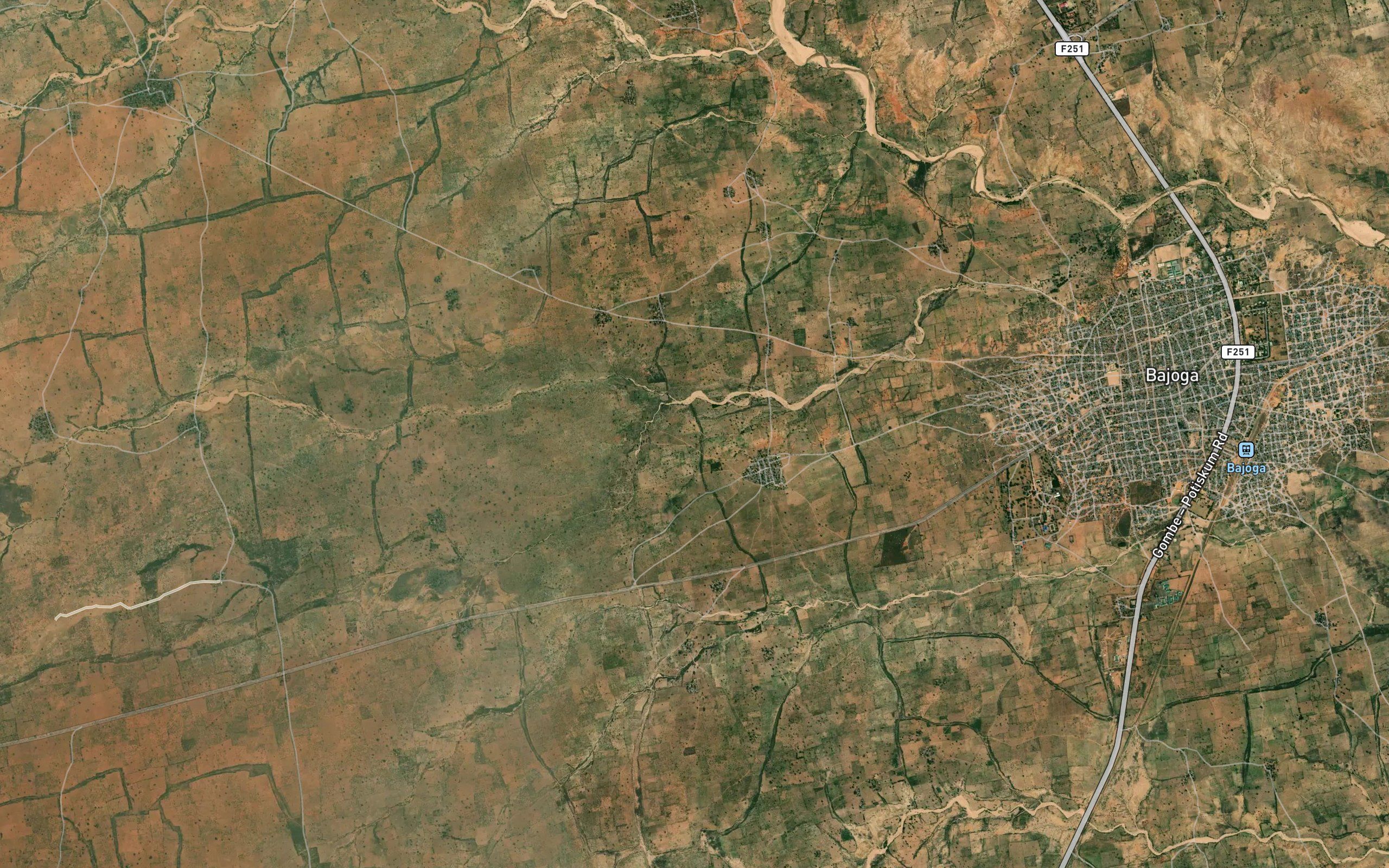 Dingaya