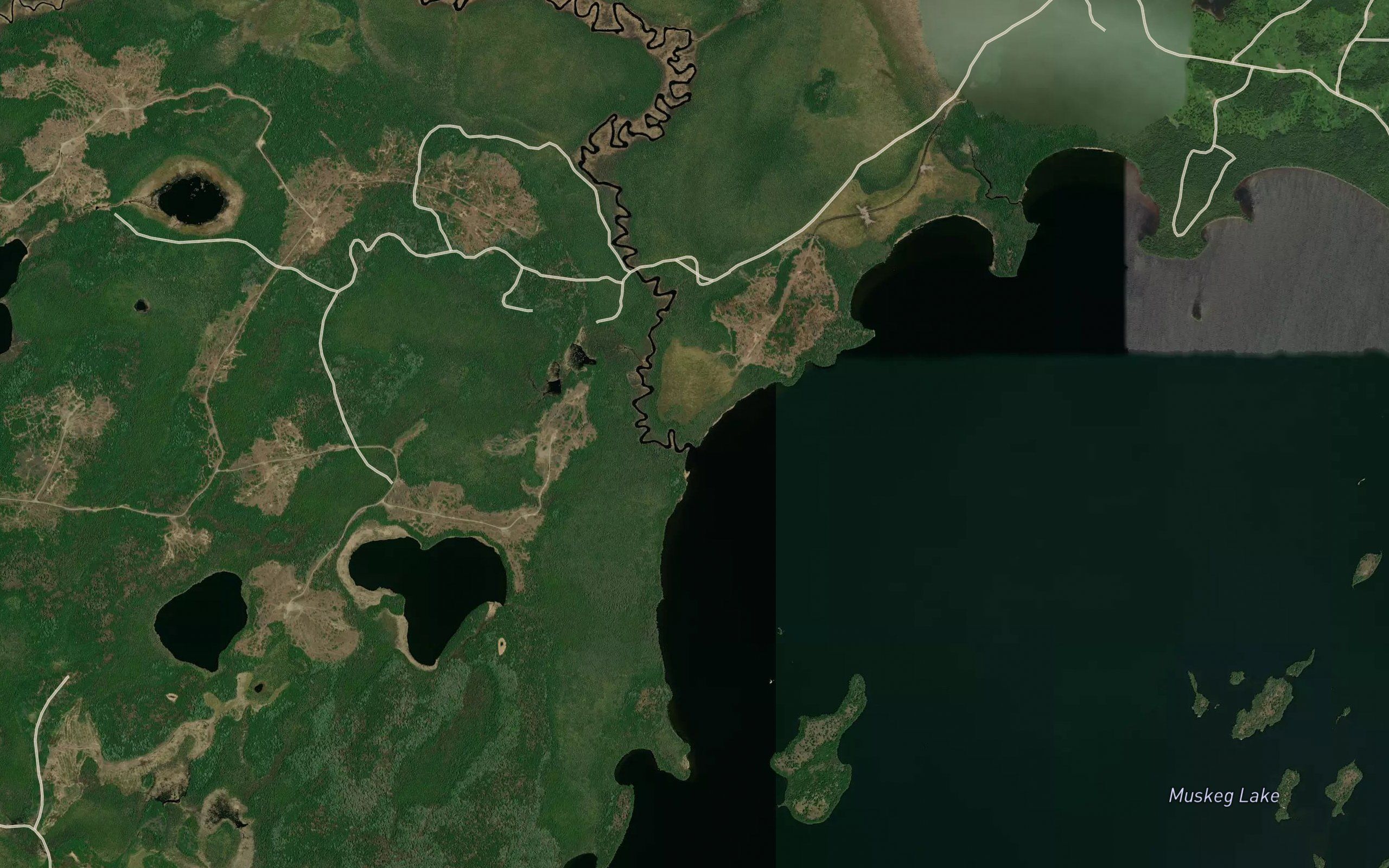 Ricestalk Creek