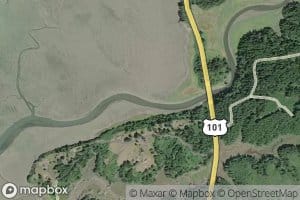 Bone River