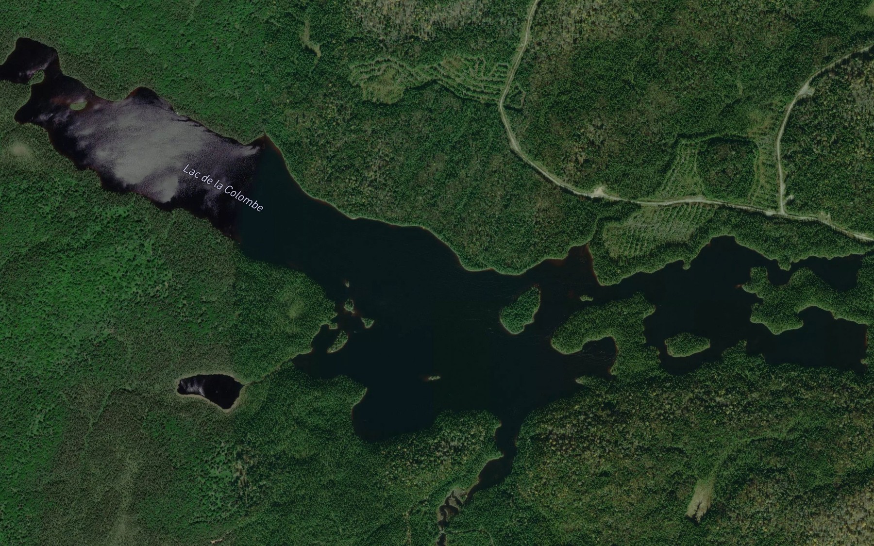 Satellite map of the Lac de la Colombe