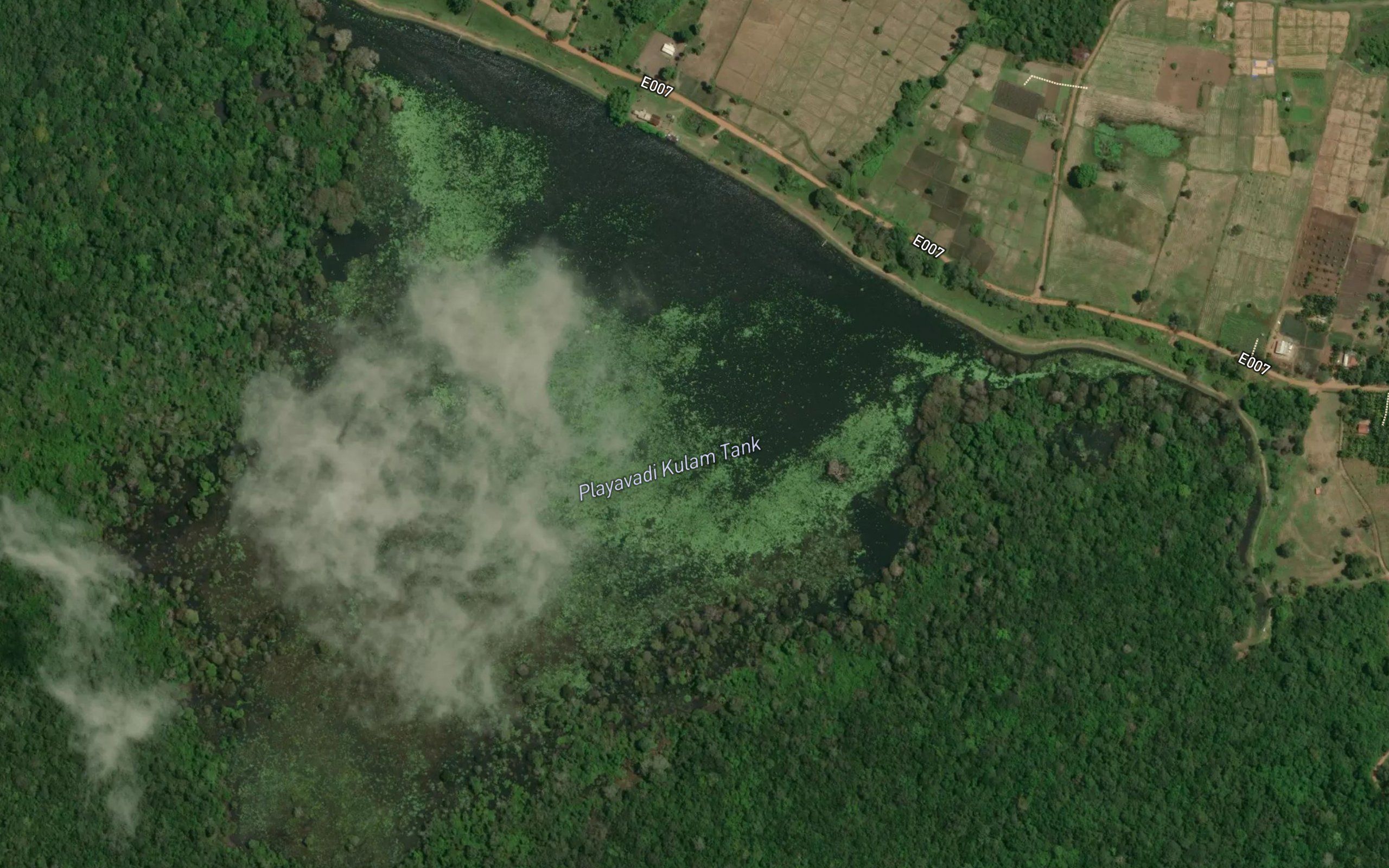 Palayawady Kulam