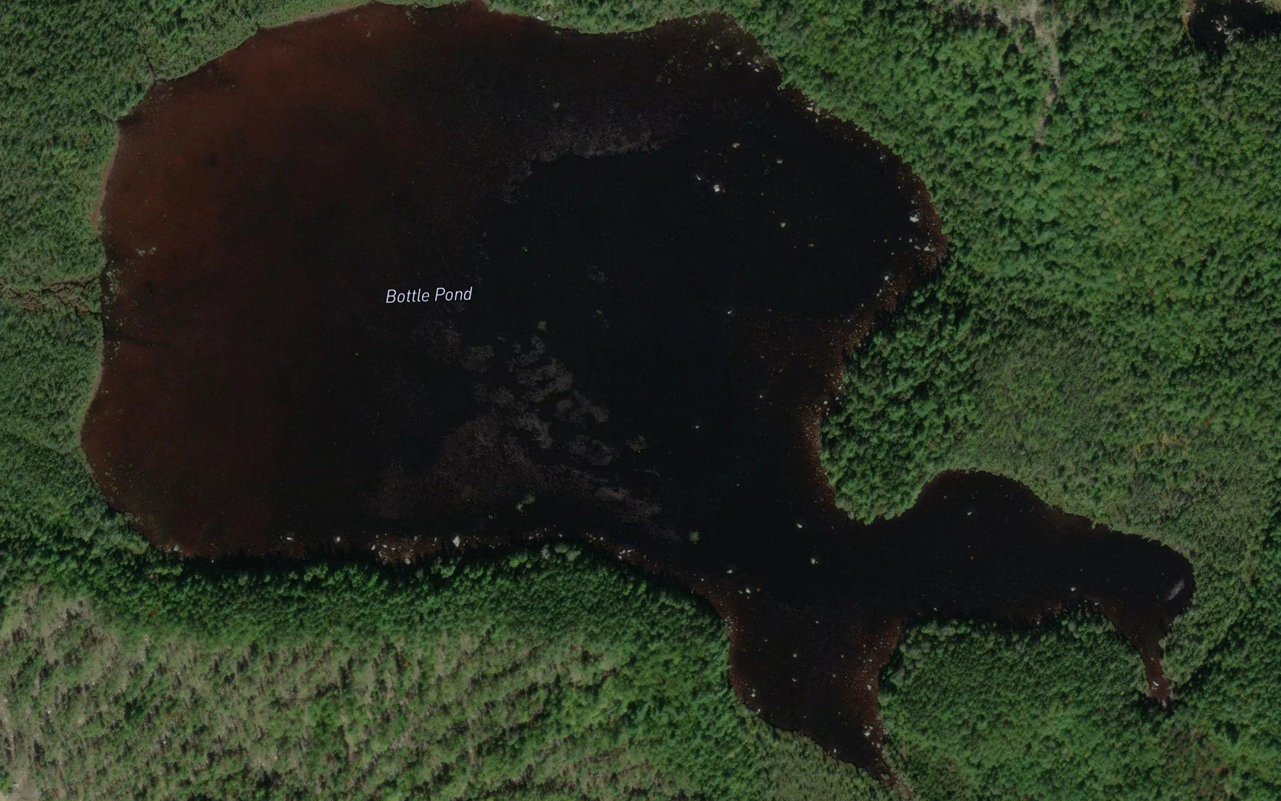 Bottle Pond