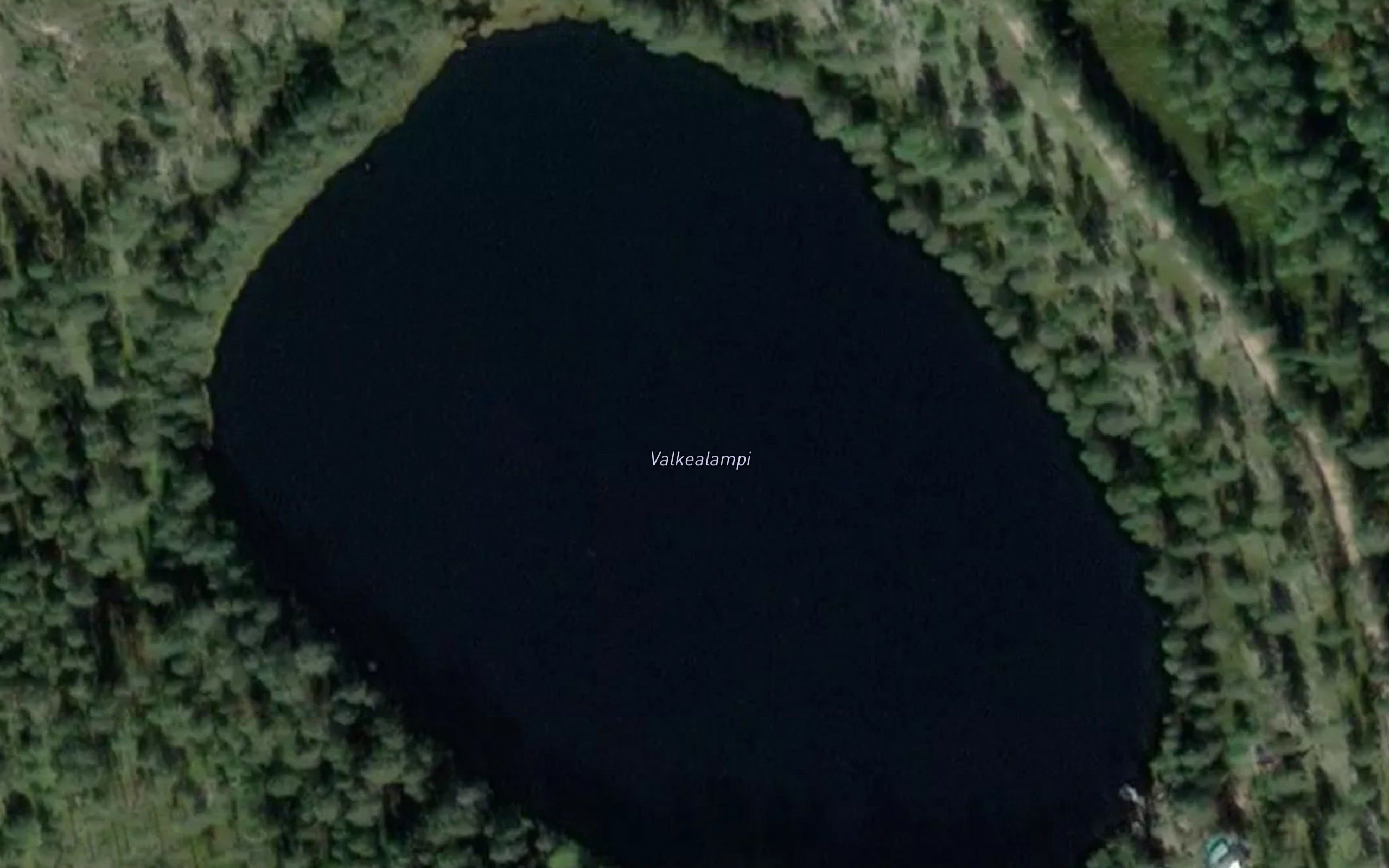 Valkealampi
