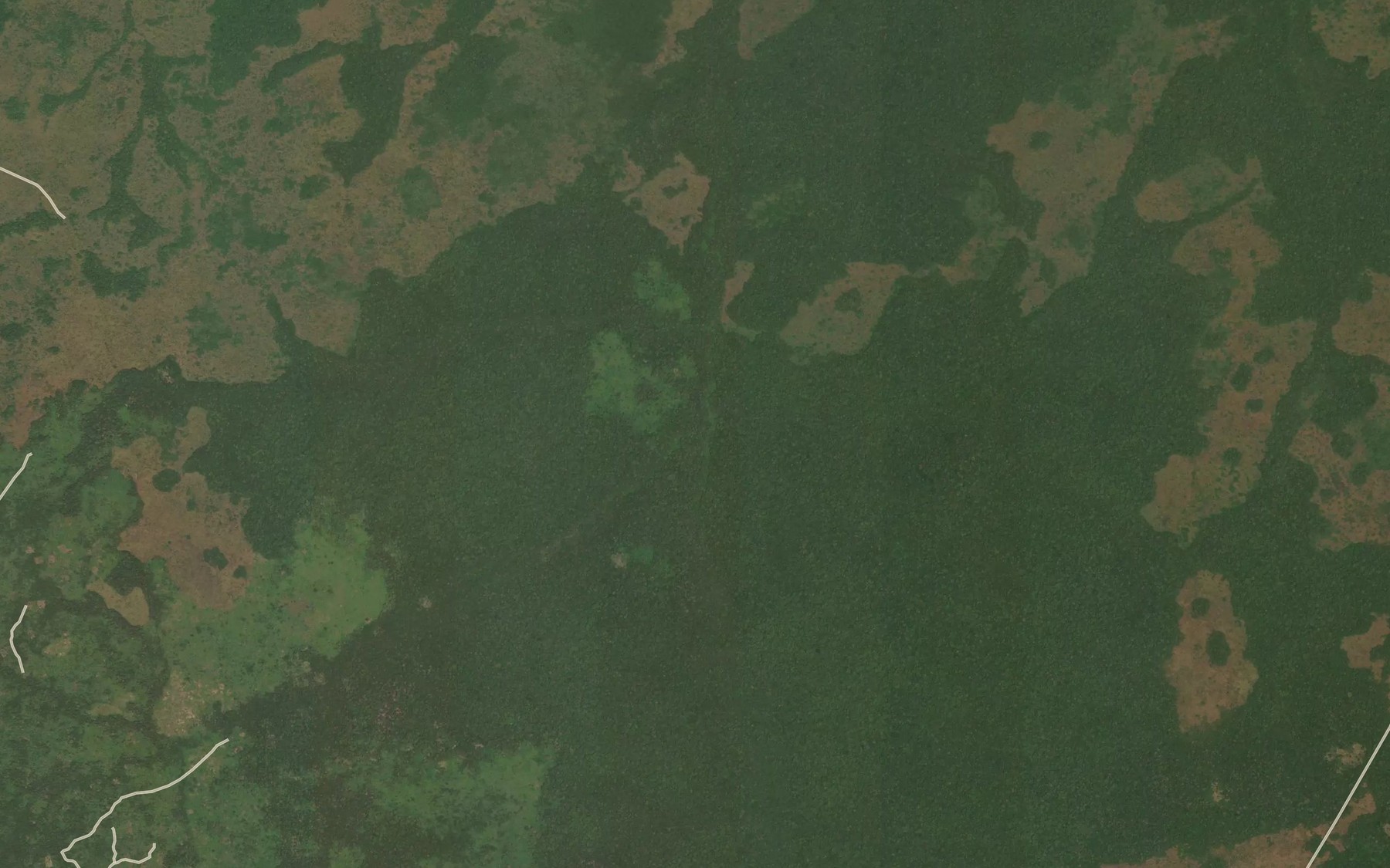 Satellite map of the Bongu