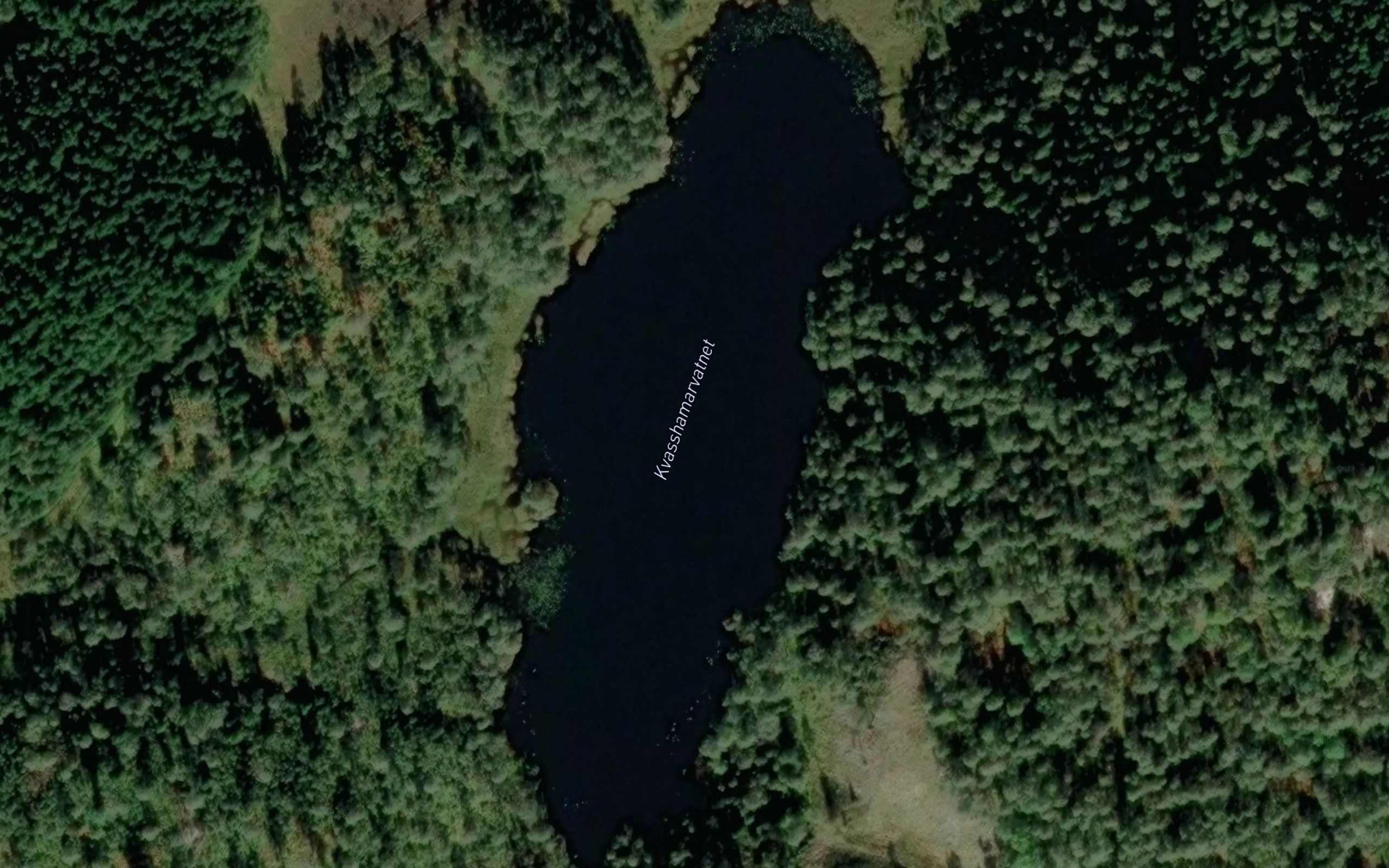 Kvasshammervann