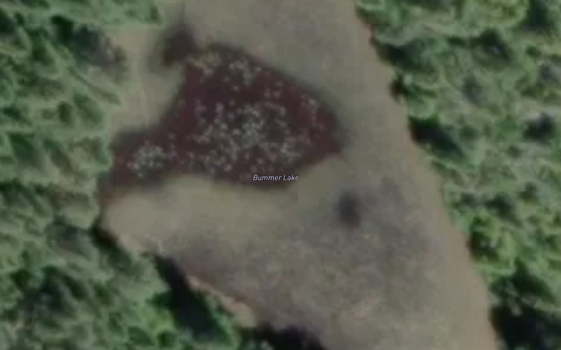 Satellite map of the Bummer Lake