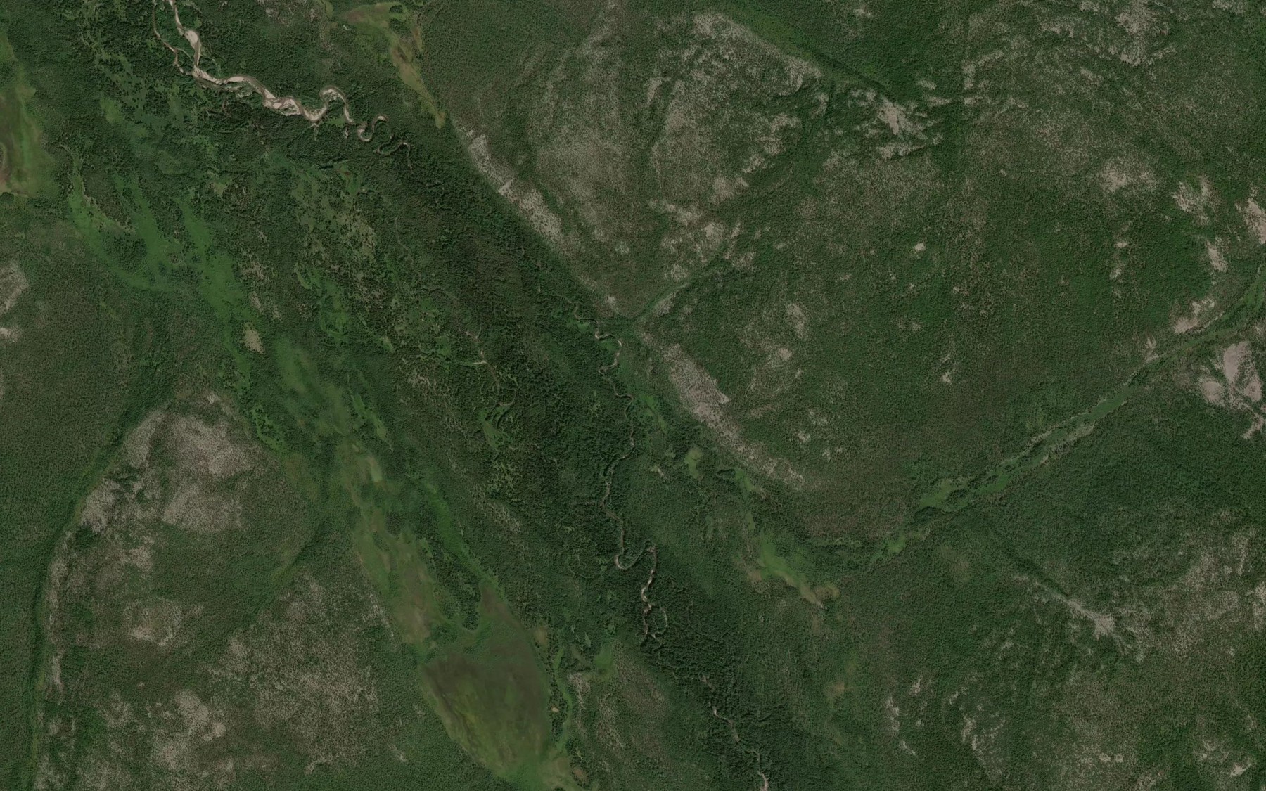Satellite map of the Kustarnikovyy