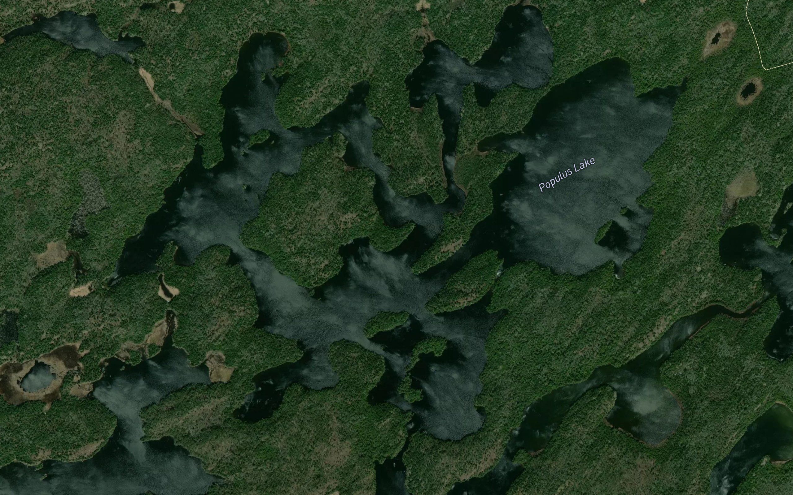 Betula Lake