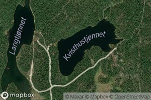Kvisthustjornet