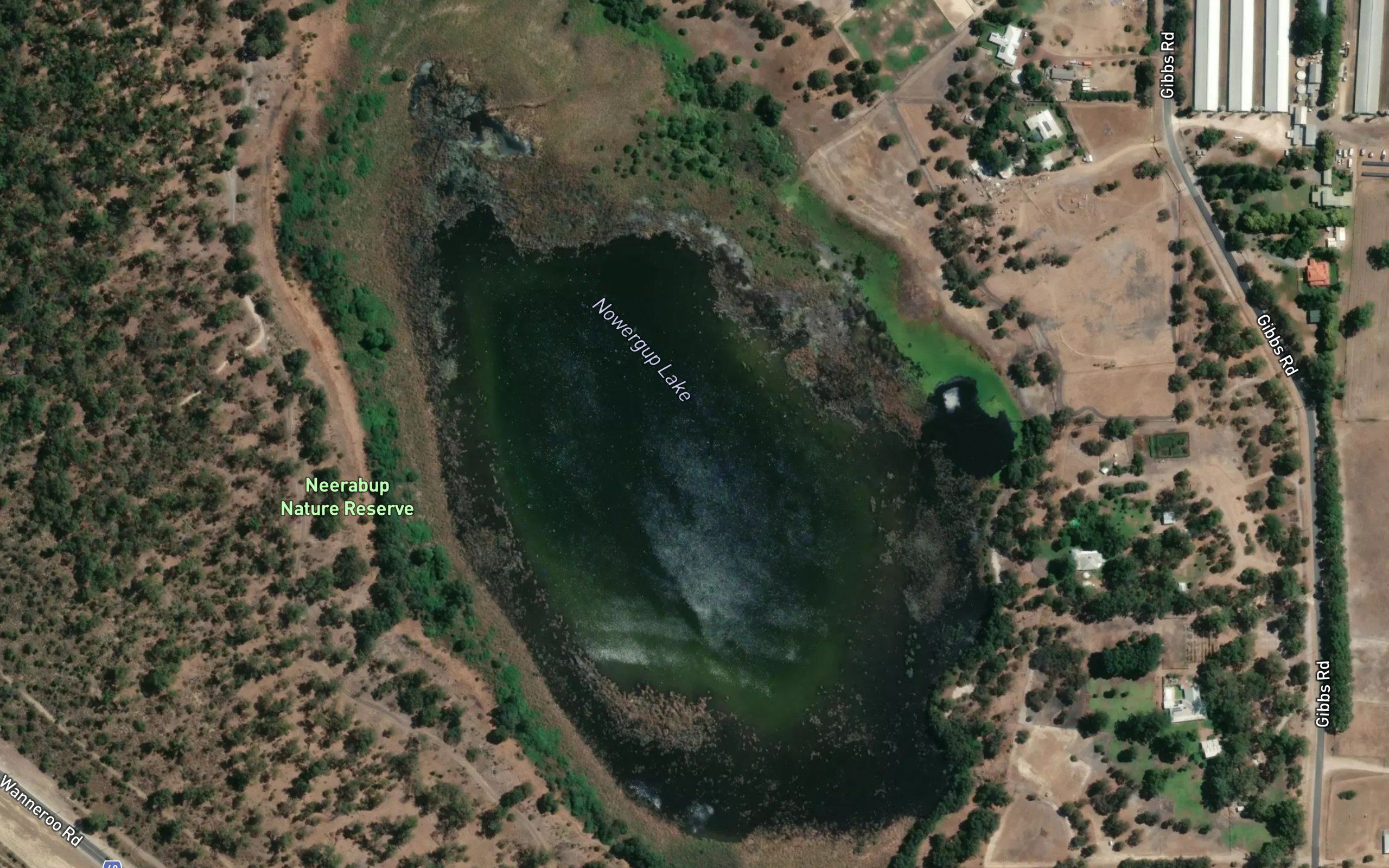 Nowergup Lake