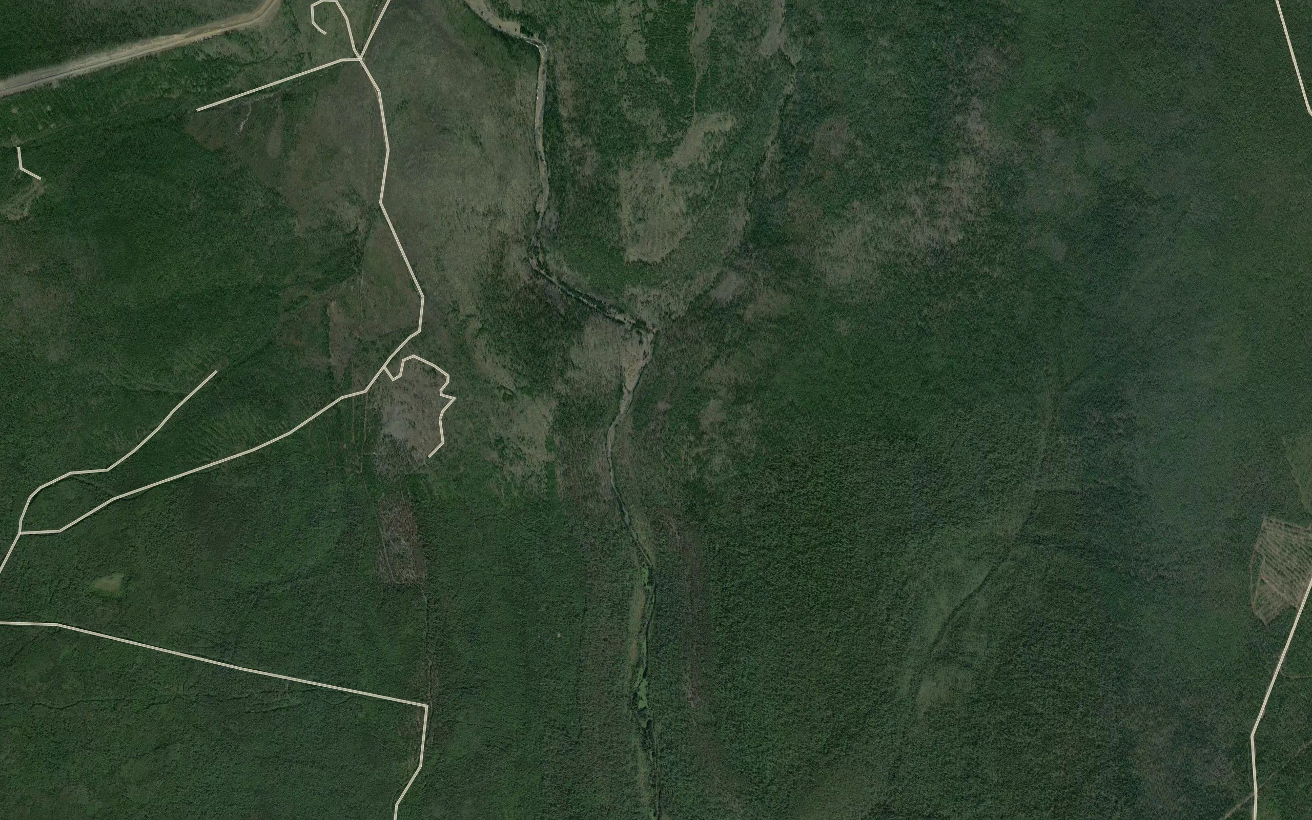 Kamennaya