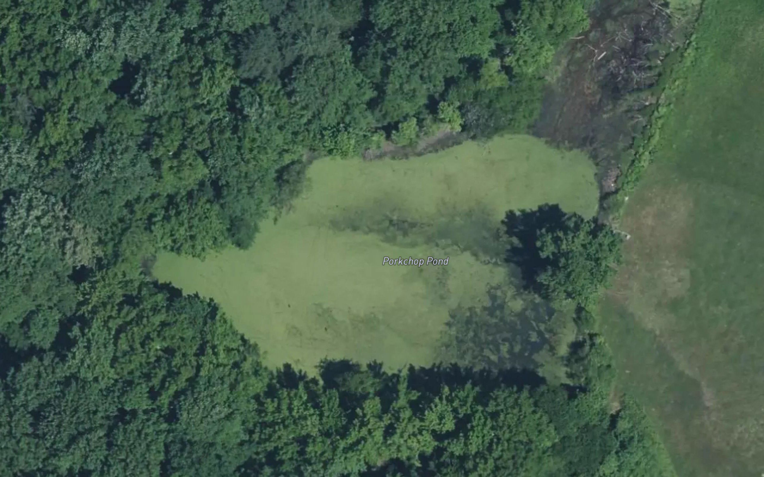 Porkchop Pond