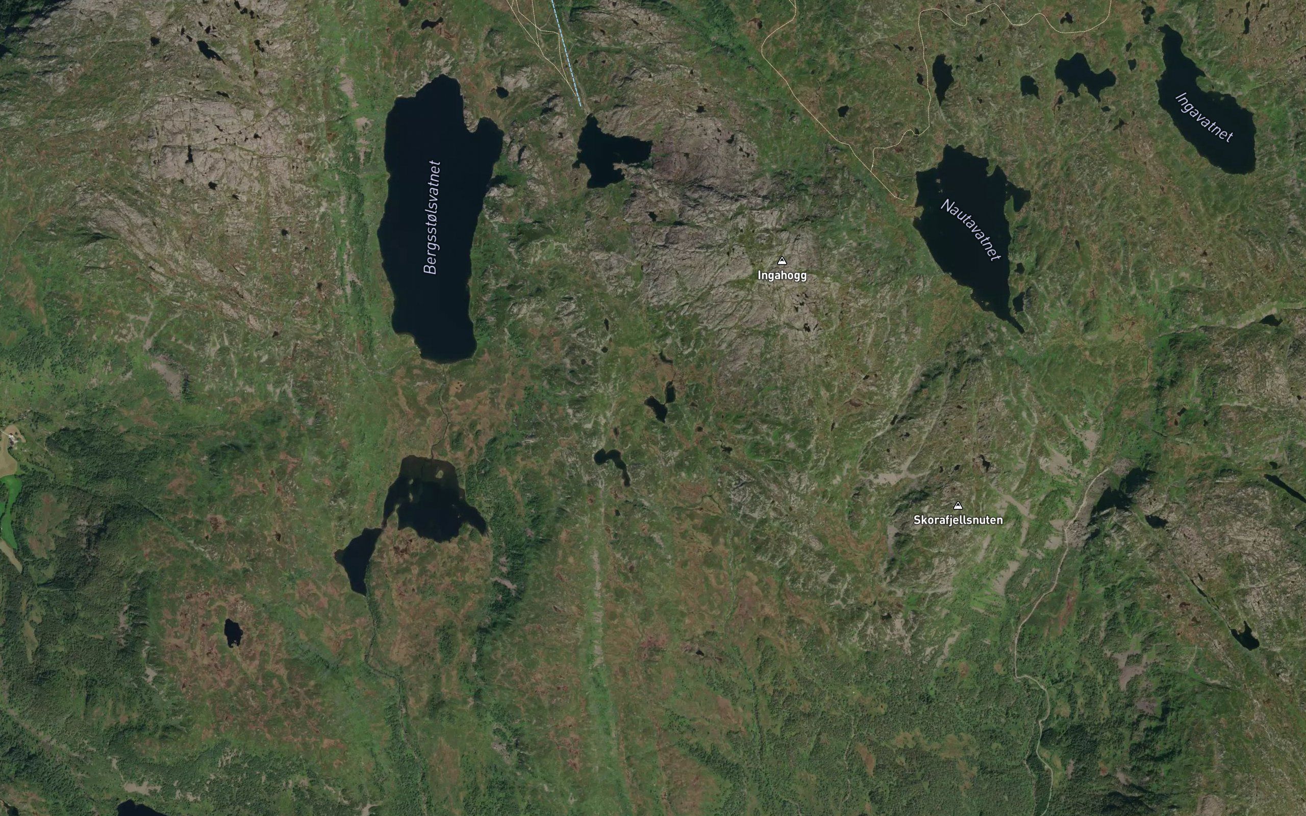 Tjornane