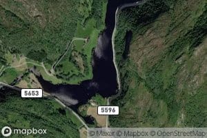 Bogsvatnet