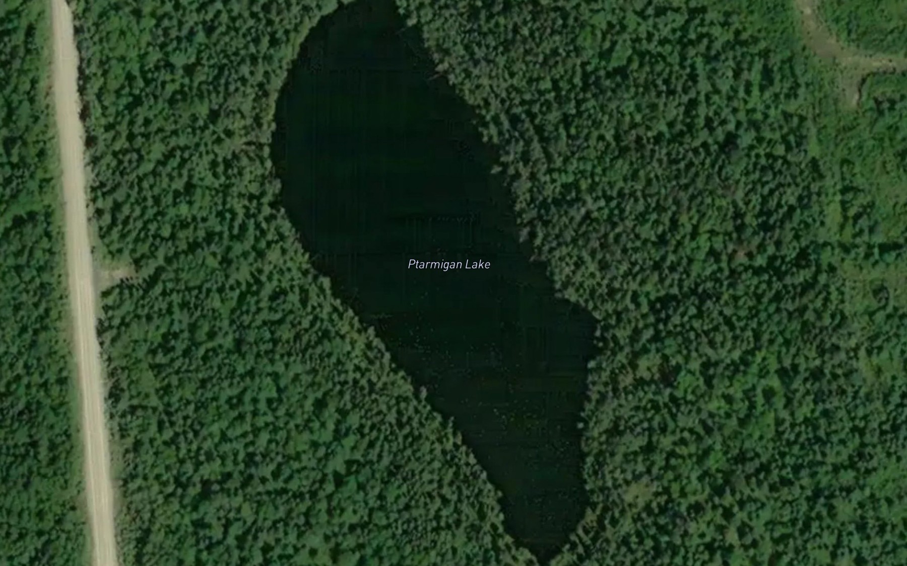Satellite map of the Ptarmigan Lake