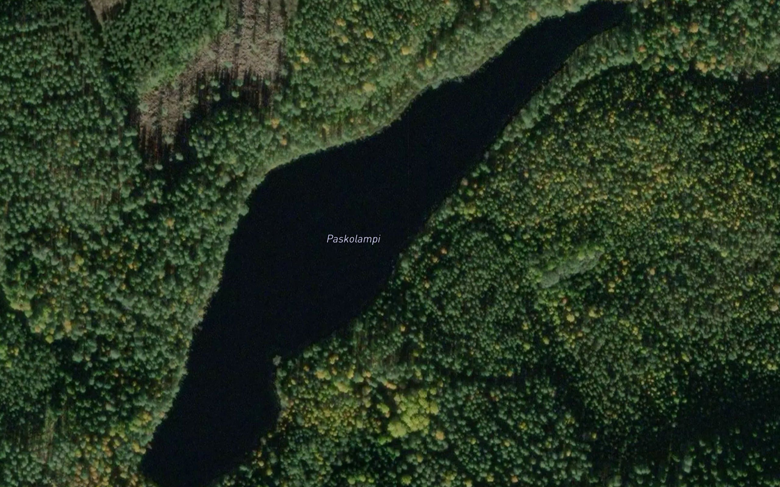 Paskolampi