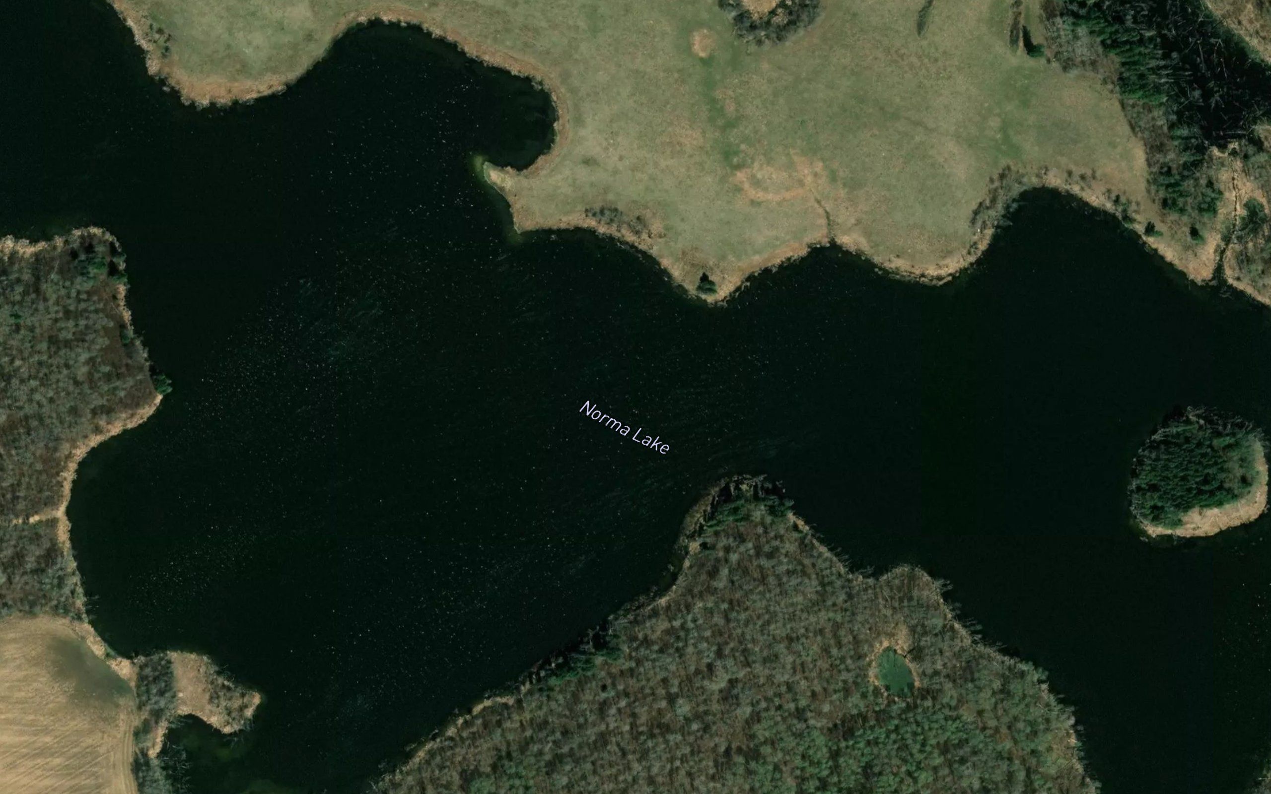 Norma Lake