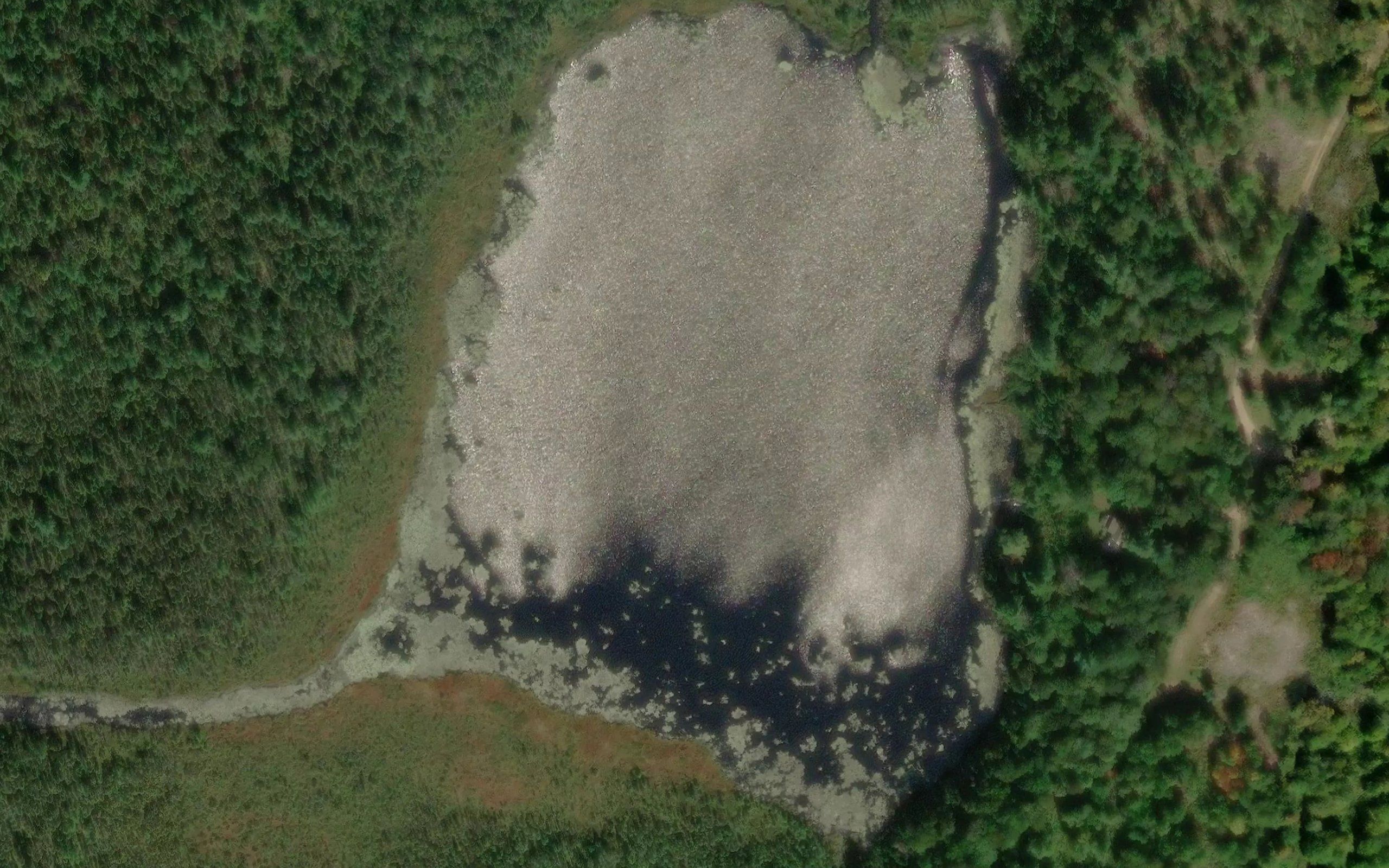 Woodbury Pond