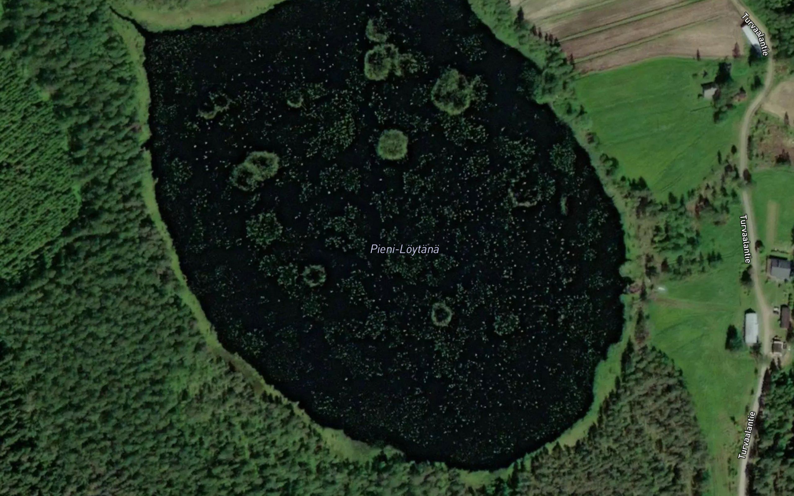 Pieni-Loytana
