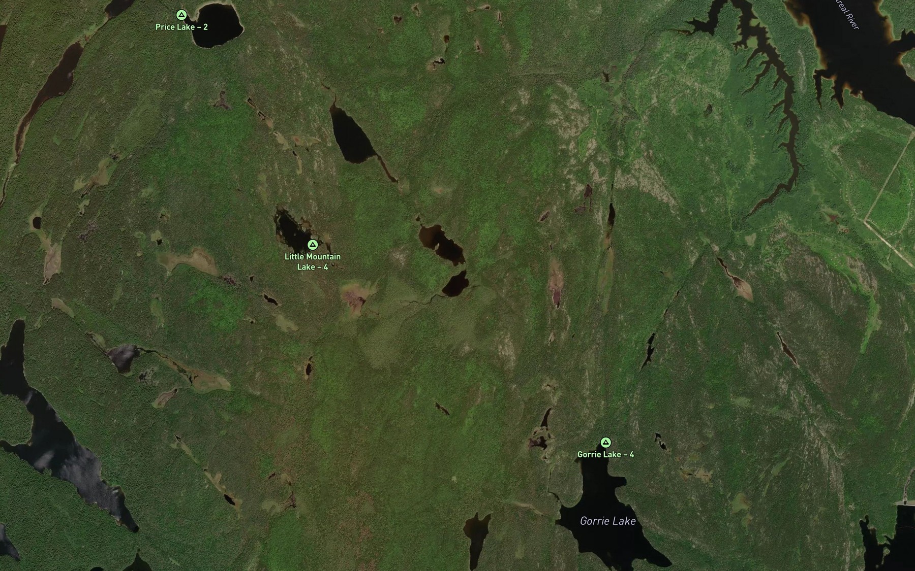 Satellite map of the Spruce Lake