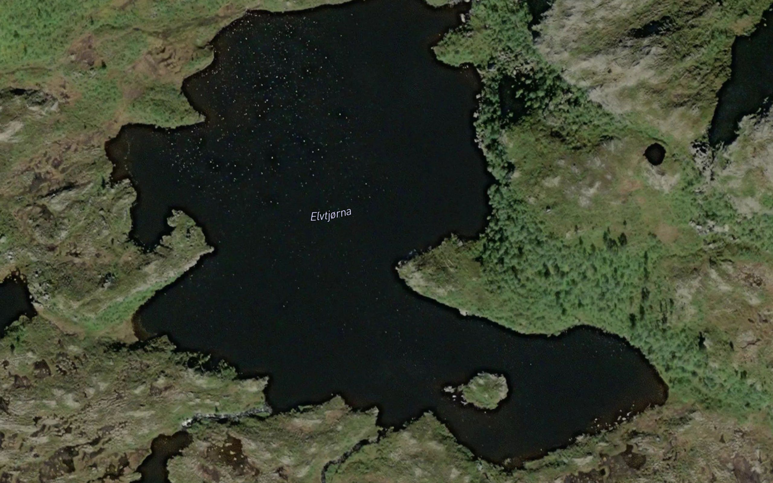 Elvtjorna