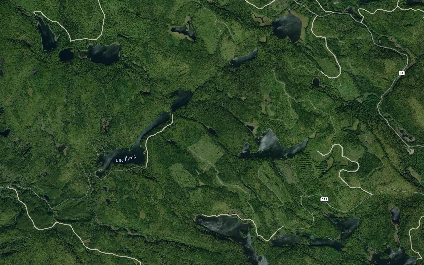 Satellite map of the Lac des Souris