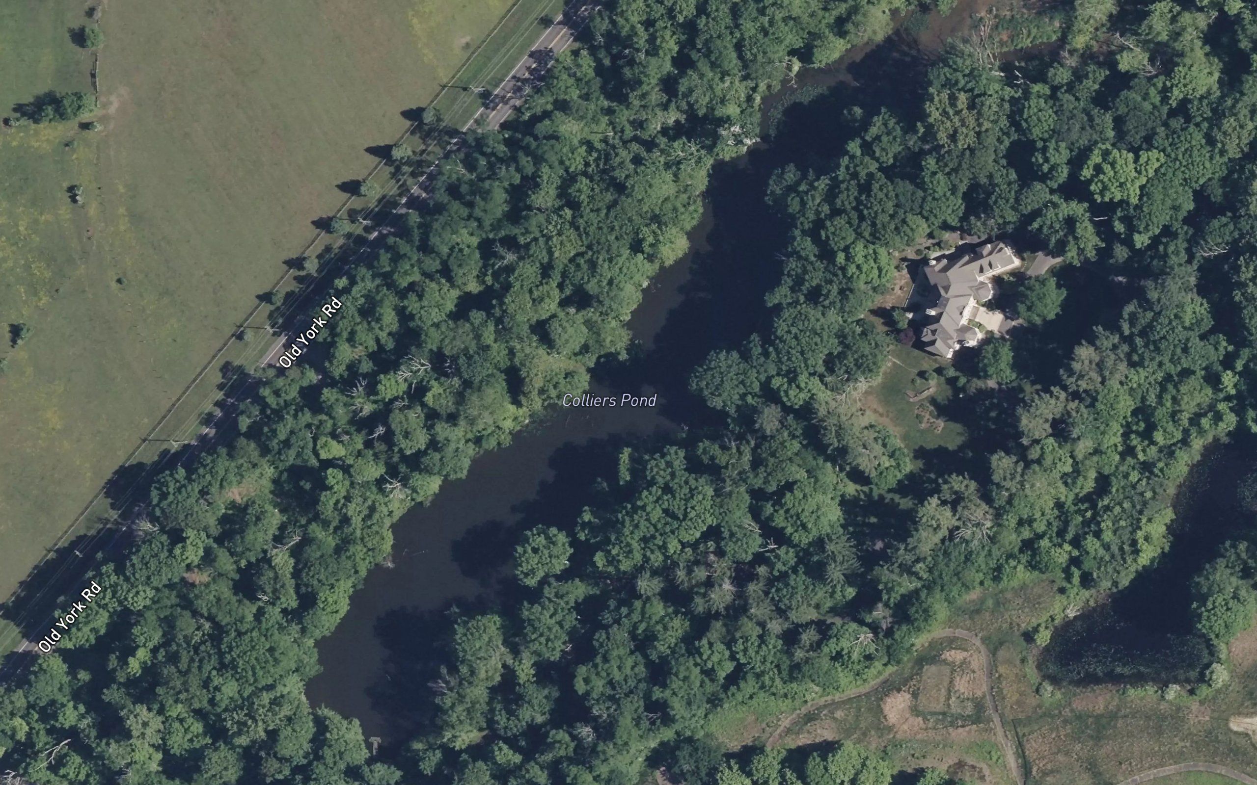 Colliers Pond