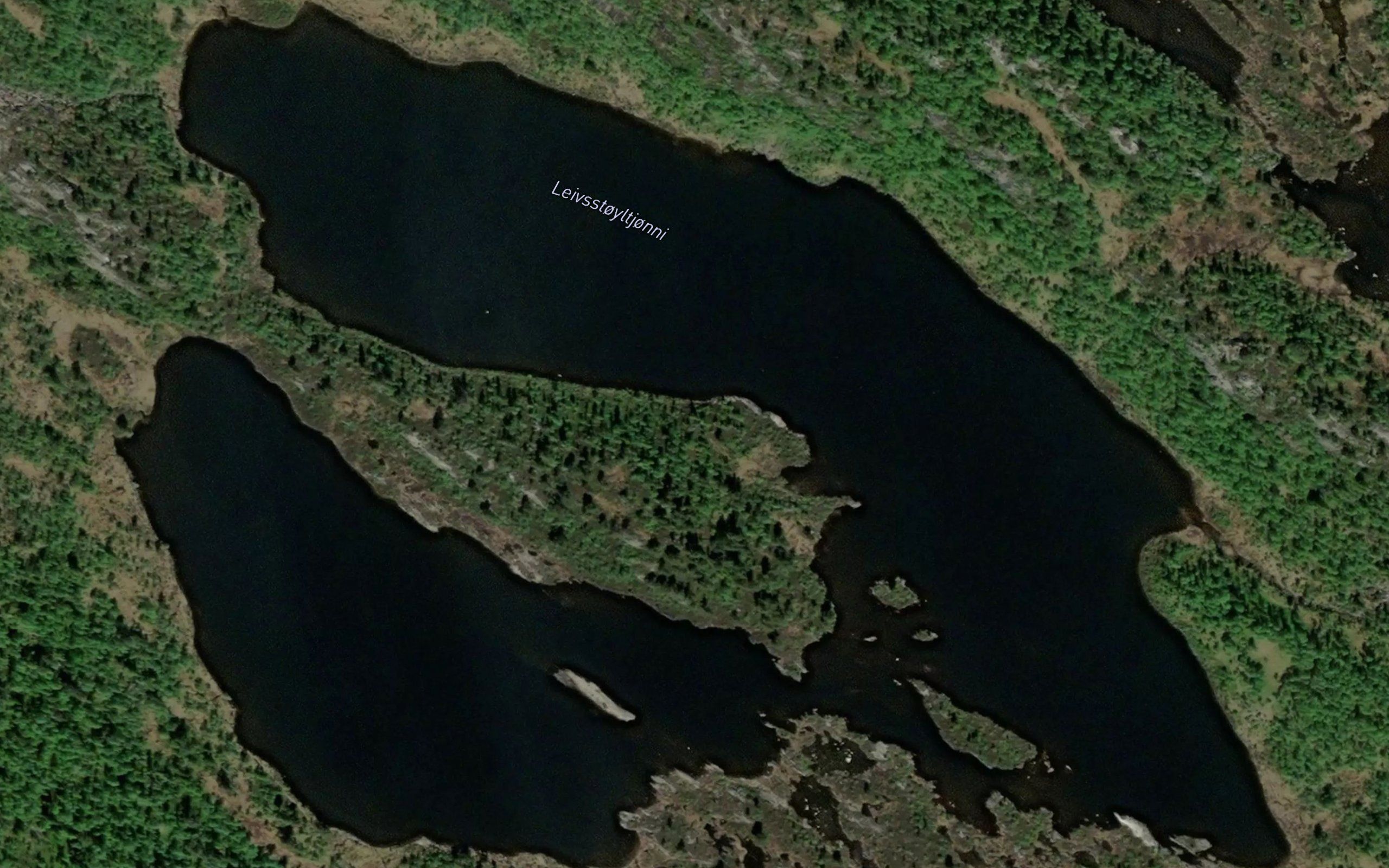 Leivsstoyltjonni