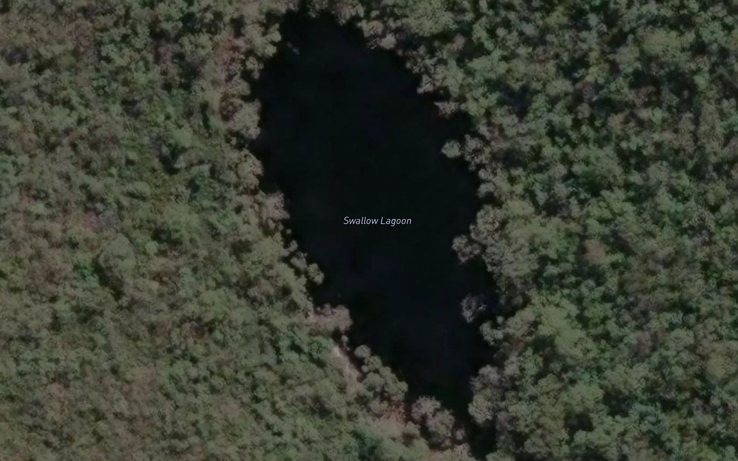 Swallow Lagoon