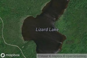 Lizard Lake