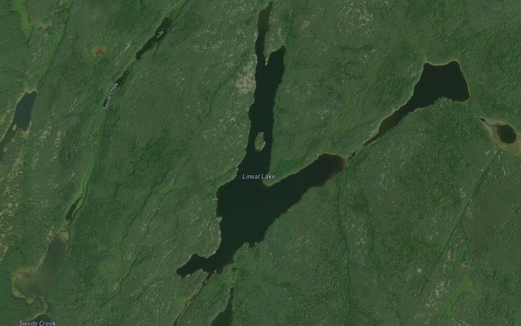 Satellite map of the Lineal Lake
