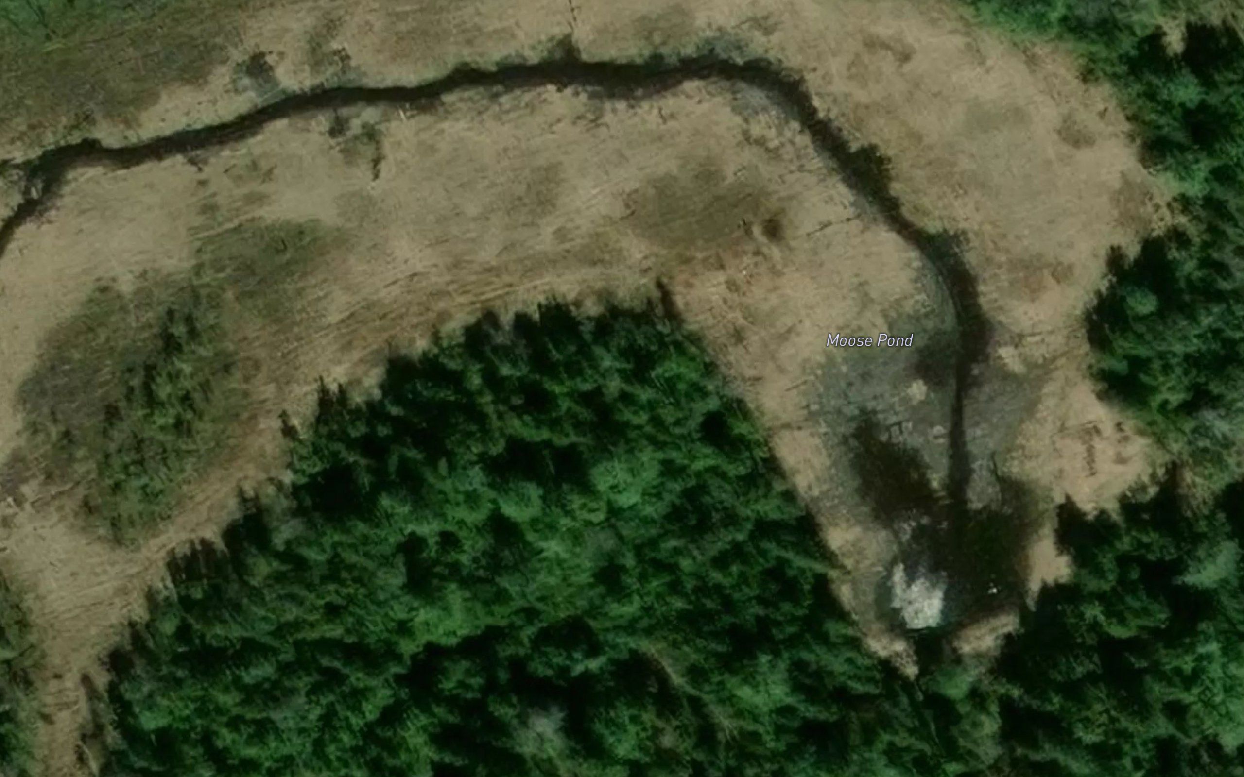 Moose Pond
