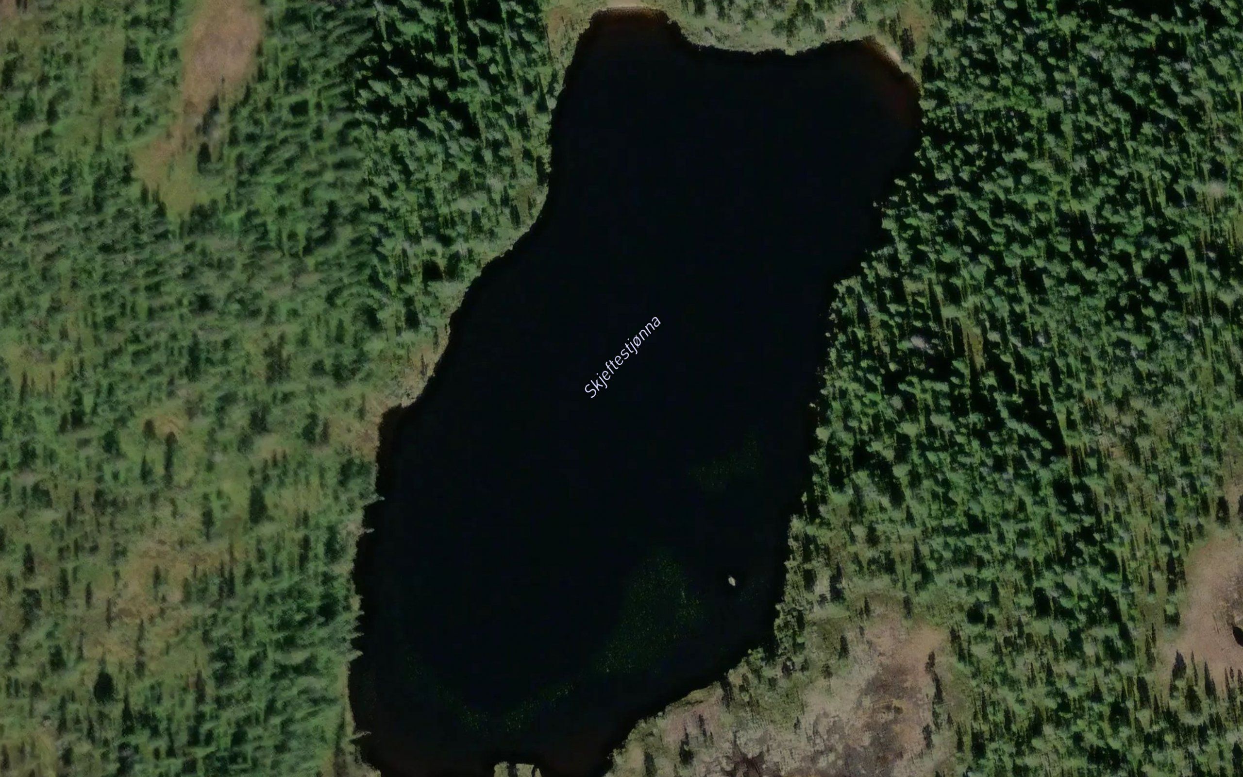 Skjeftestjorna